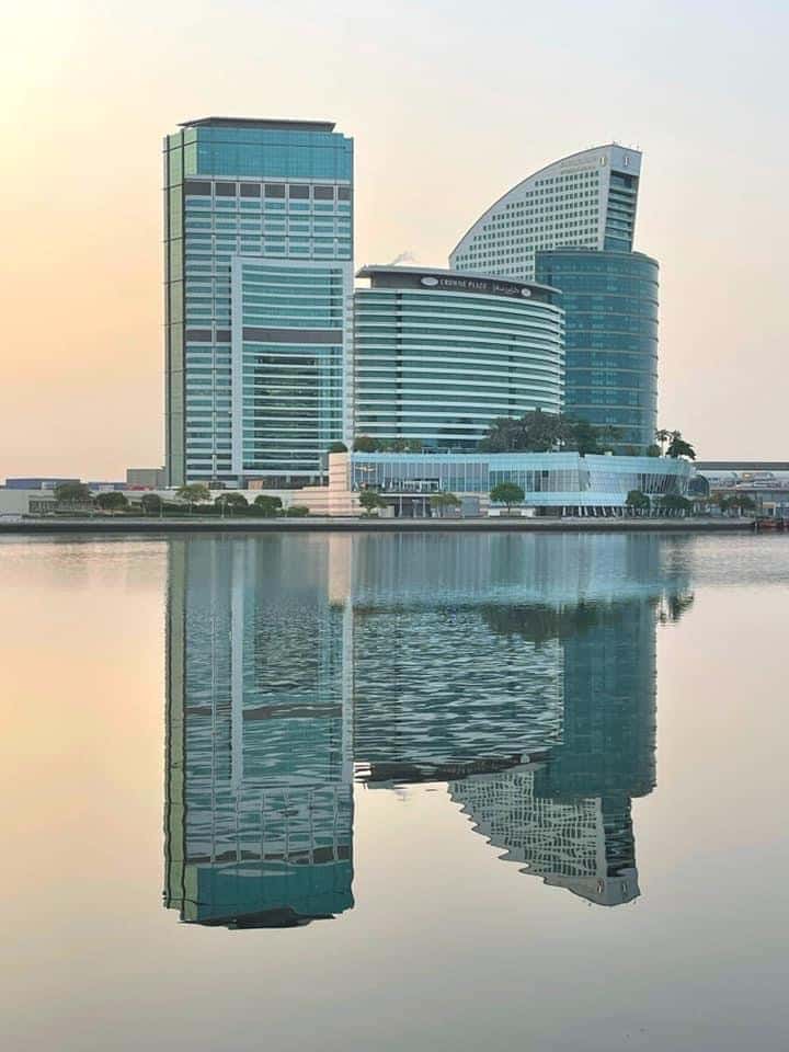 فيستفال دبي