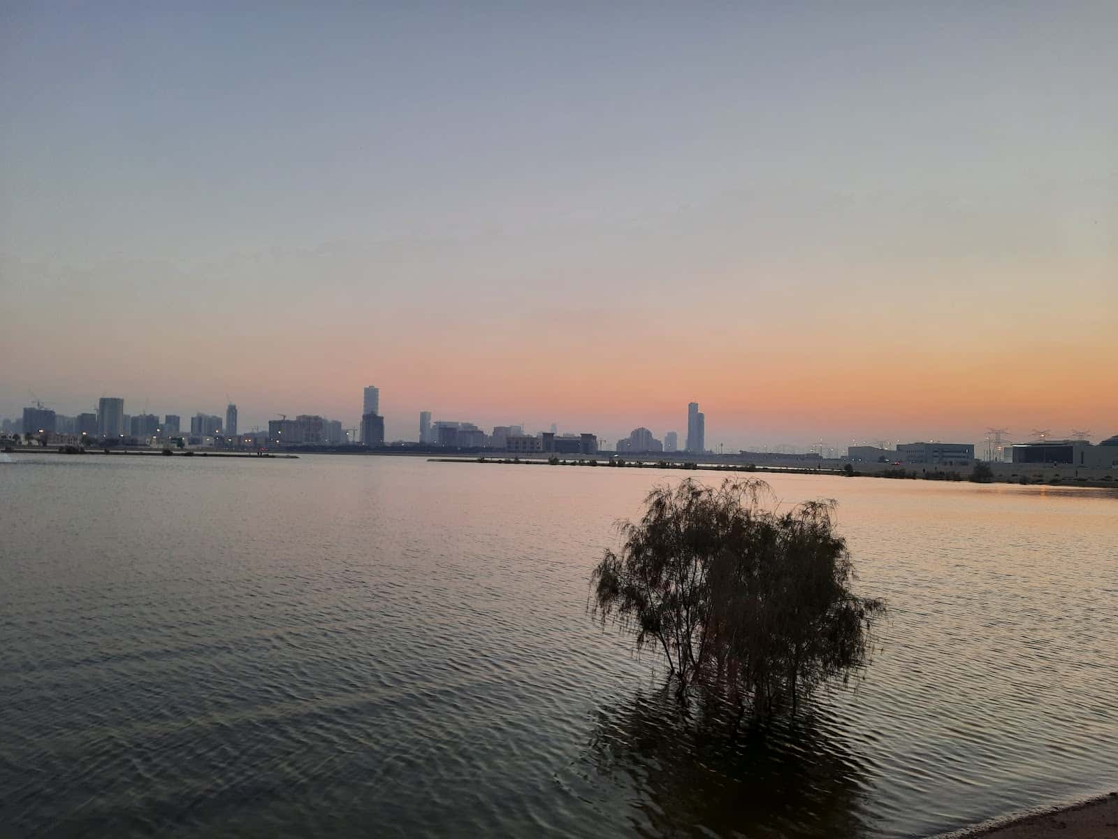 Al Barsha lake