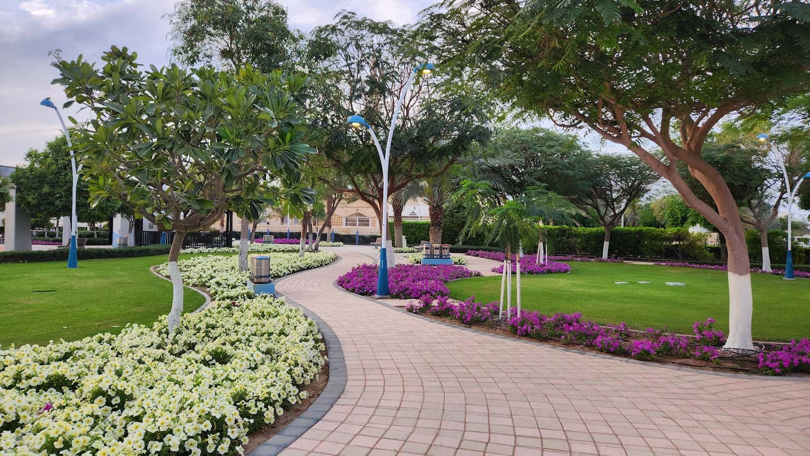 AL mizhar first Neighborhood park 4