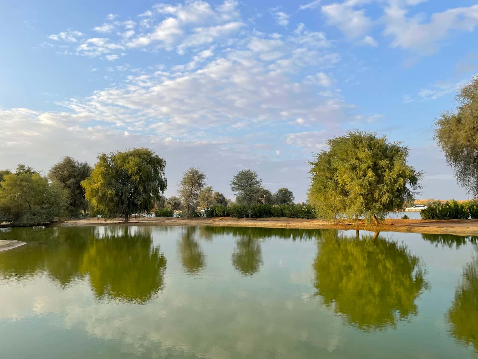 Al Qudra Lake Oasis
