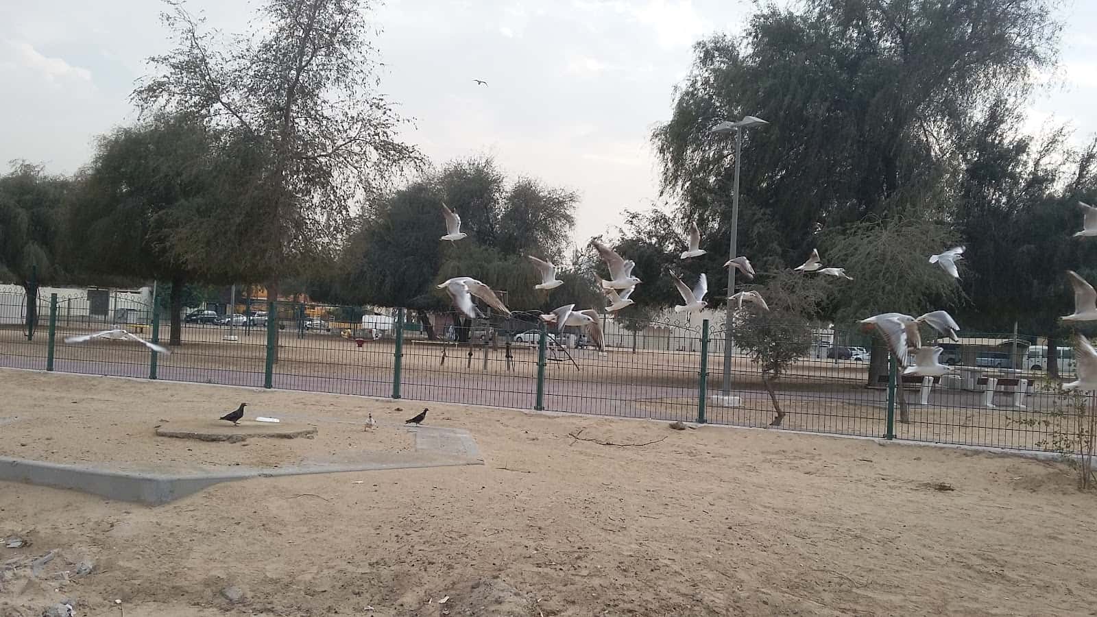 Al Quoz Park 3