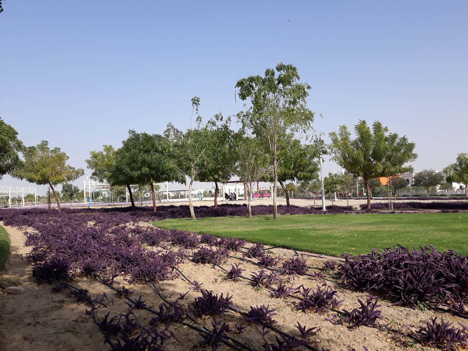 Al Warqa 3 Park