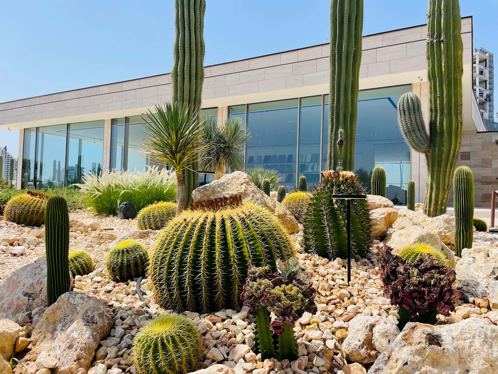 Cactus Park of Kerulah Cafe