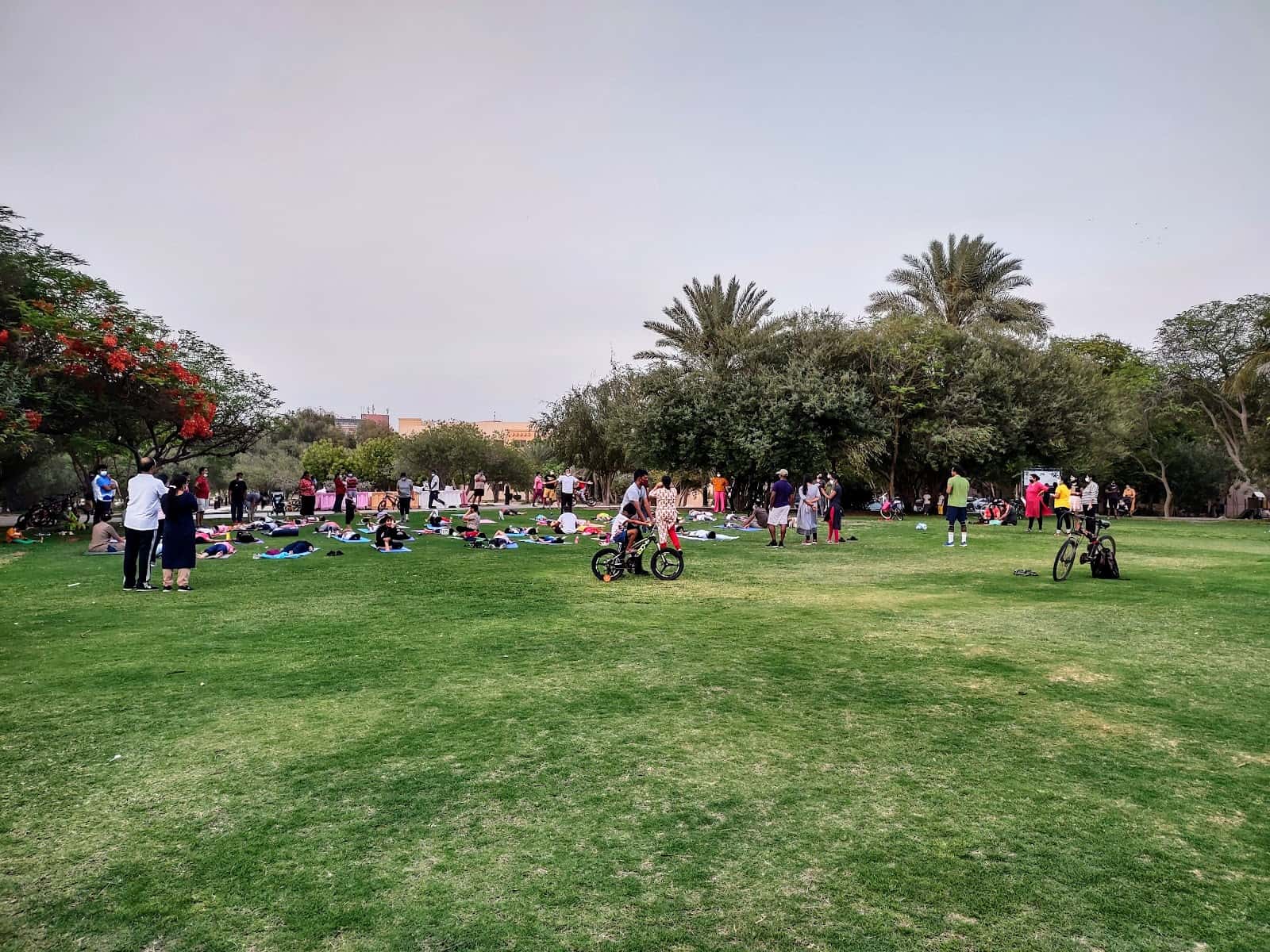 Community Park