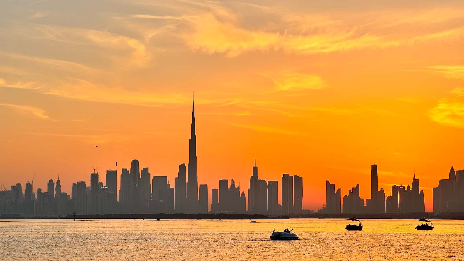 Creek Harbour Night Vision