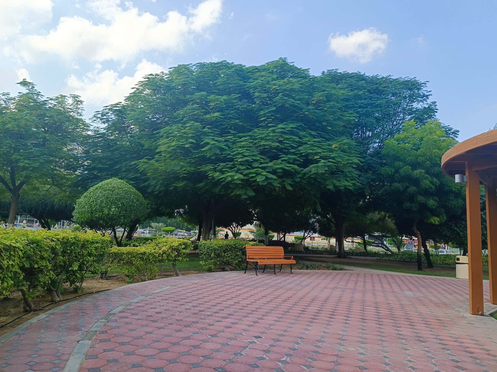 DIP Public Park