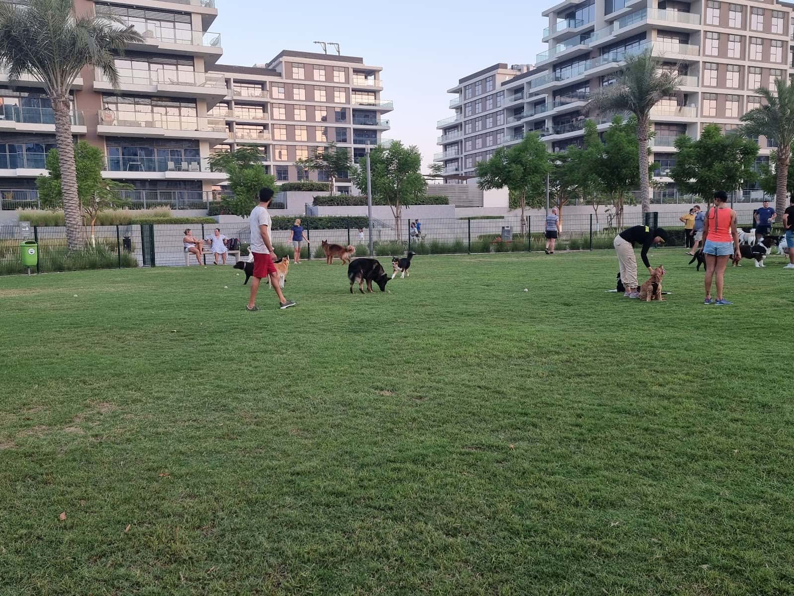 Dog Park - Dubai Hills Estate Park