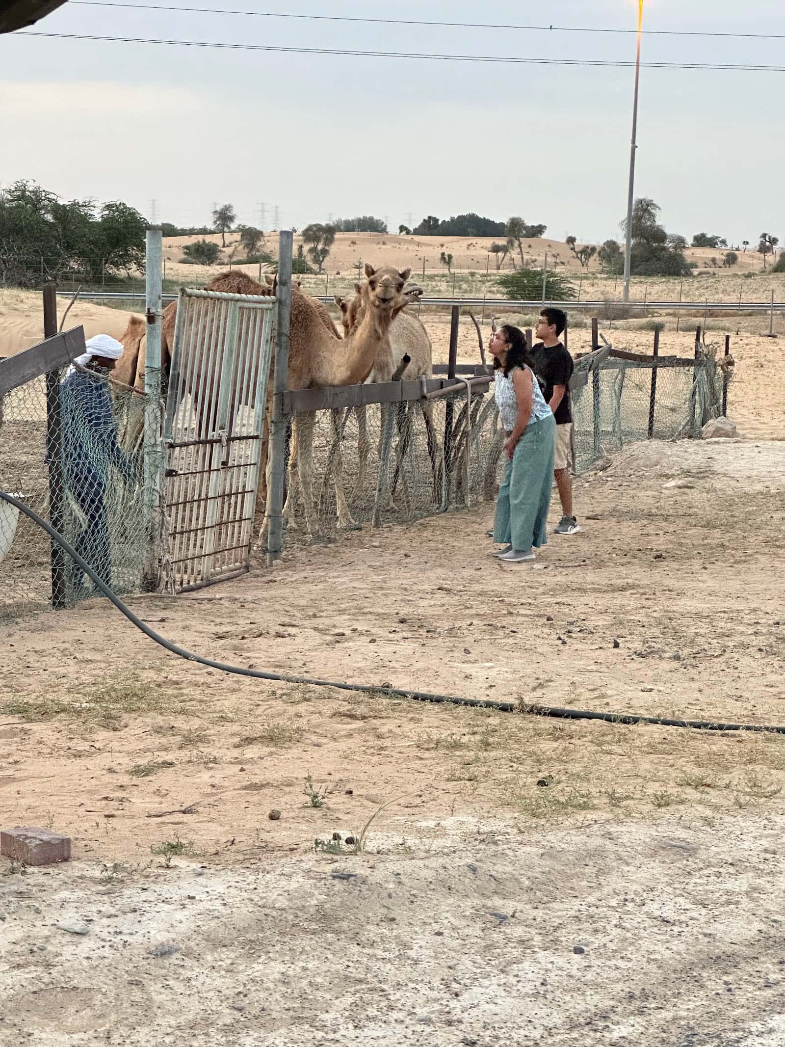 Dubai Heritage & Culture Village