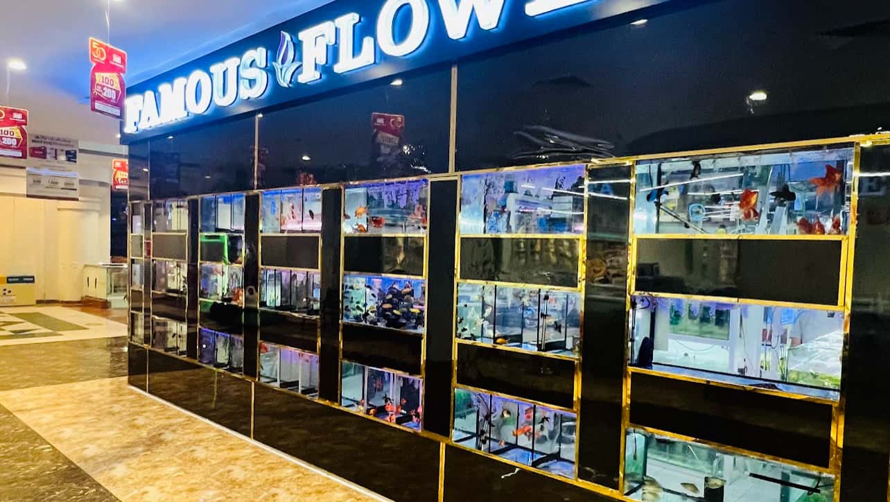 Famous Aquarium and Pets Dubai