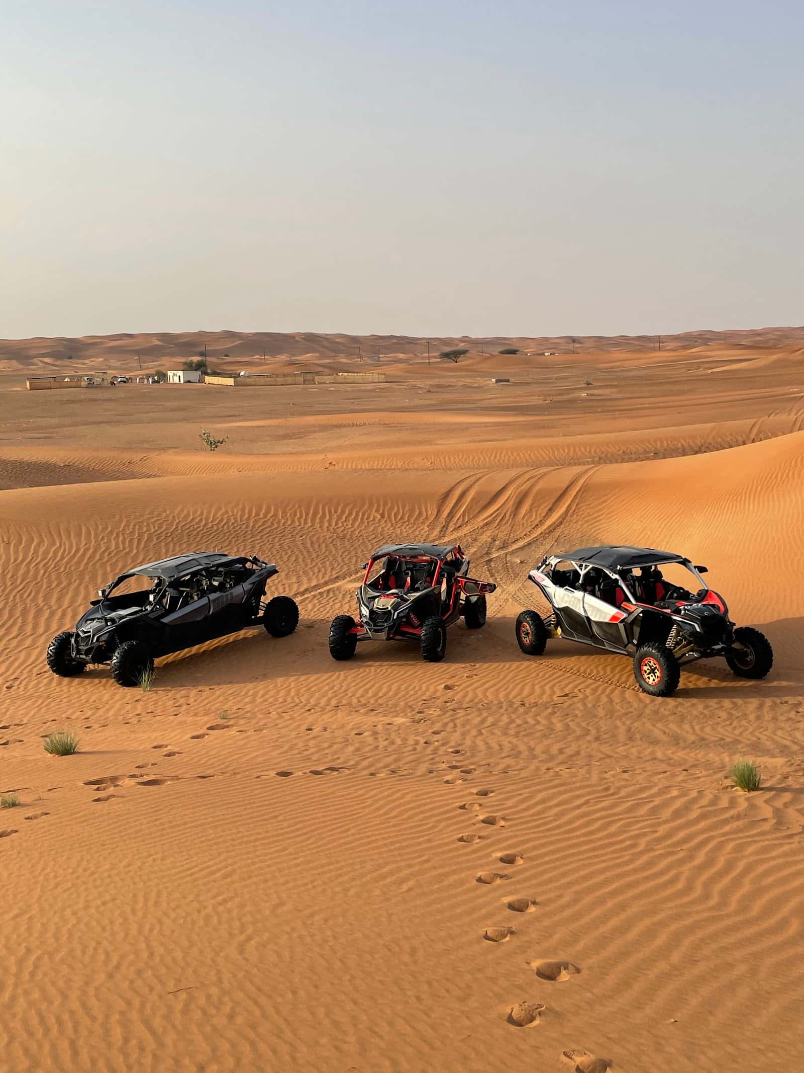 HORSE LUXURY BUGGY DUBAÏ