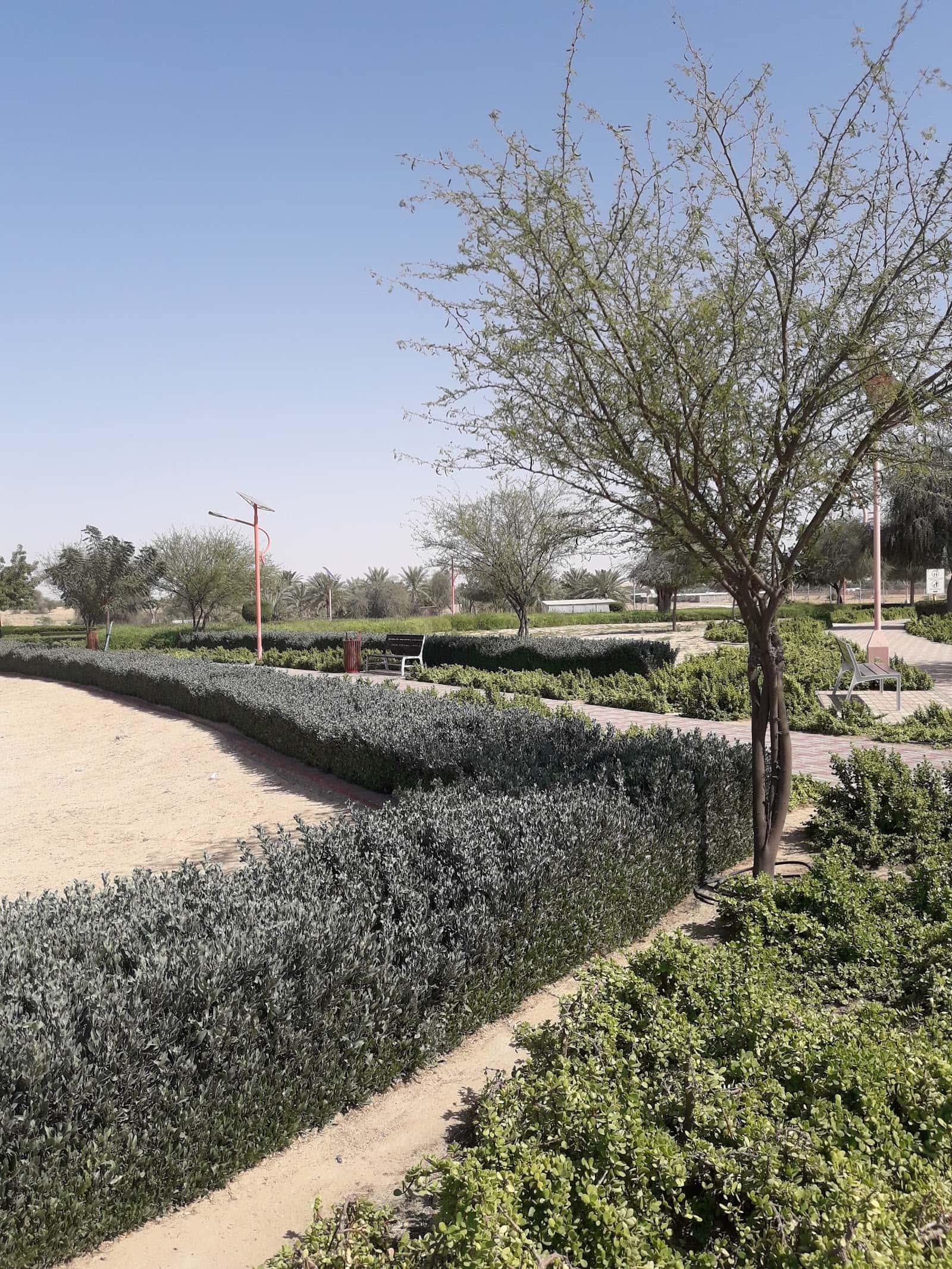 Lehbab First Park