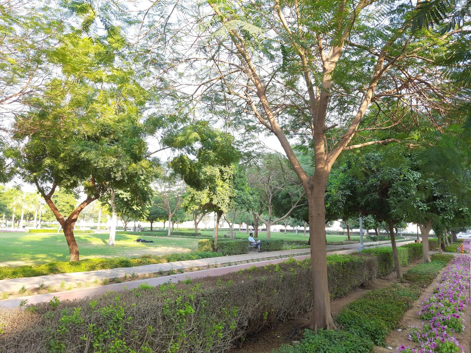 Port Saeed Park