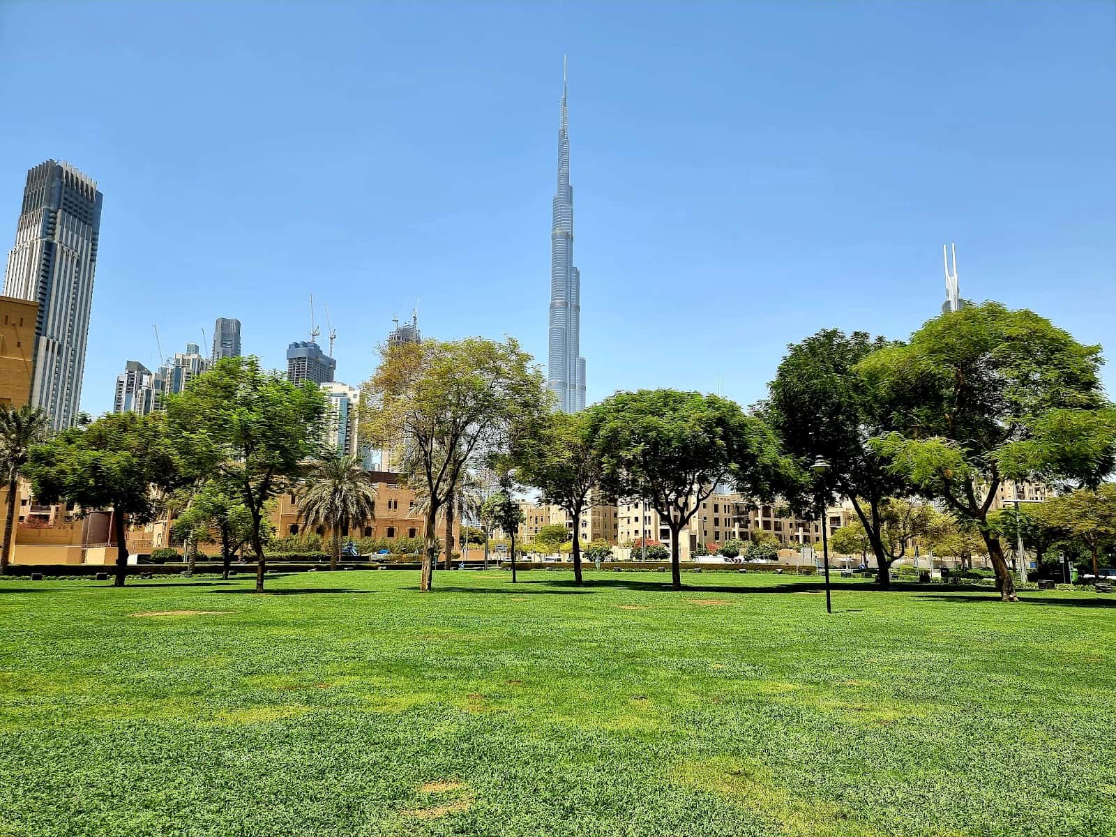 South Ridge Park
