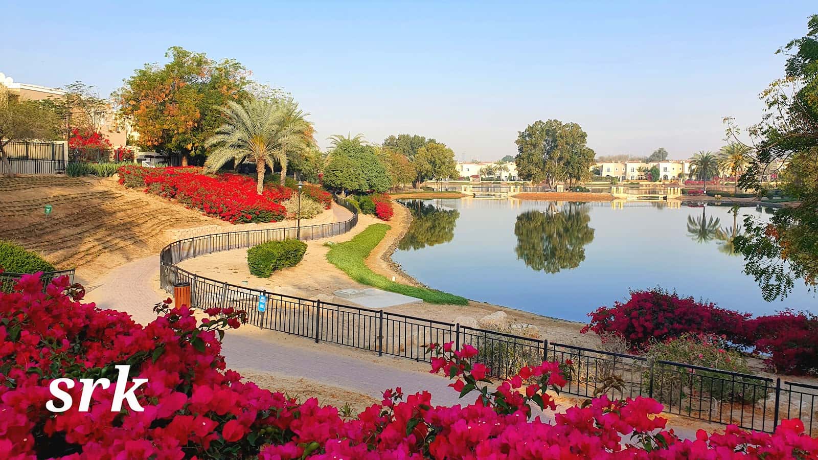 The Lake | Al Reem Arabian Ranches