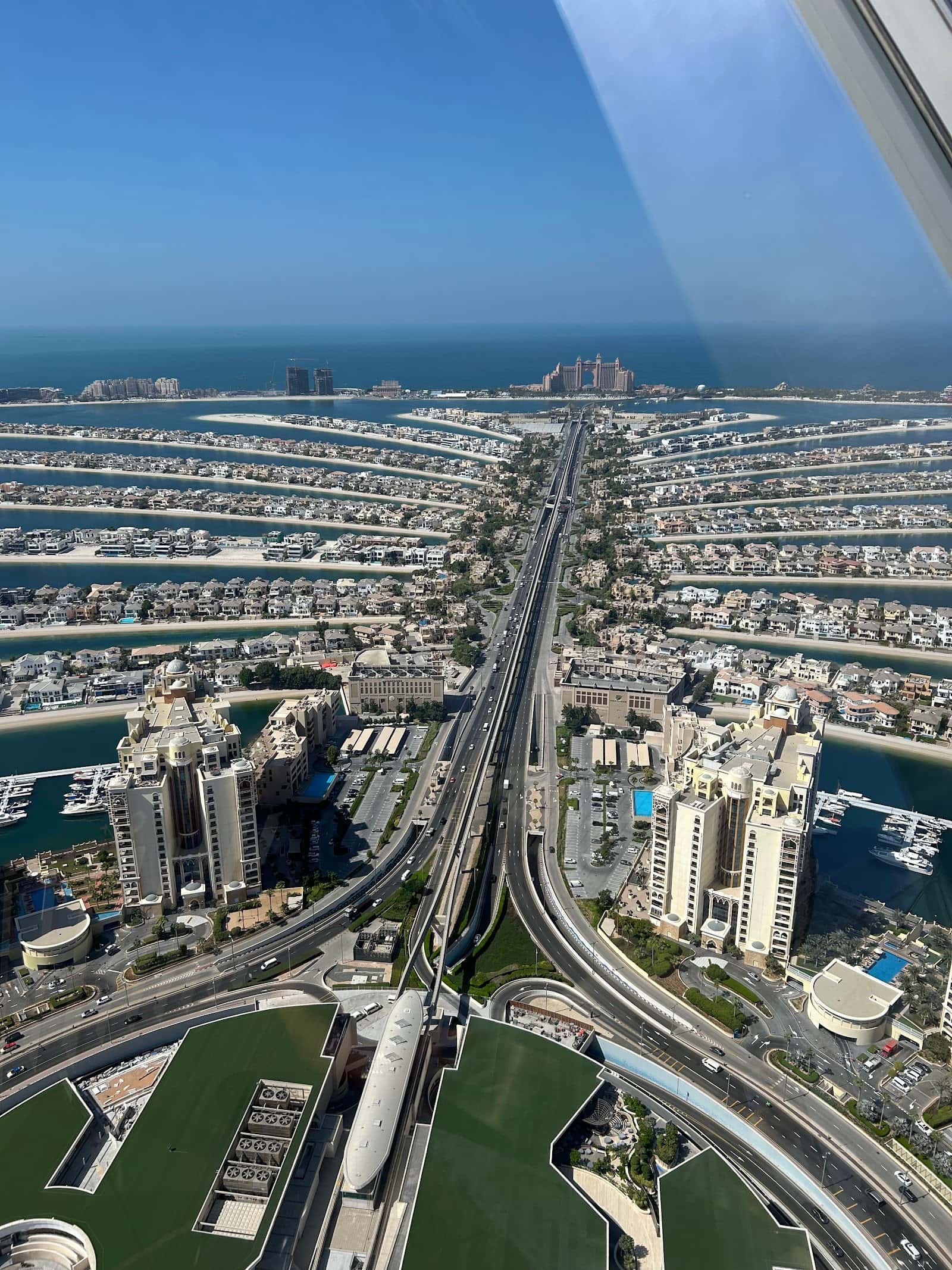 The palm view tower