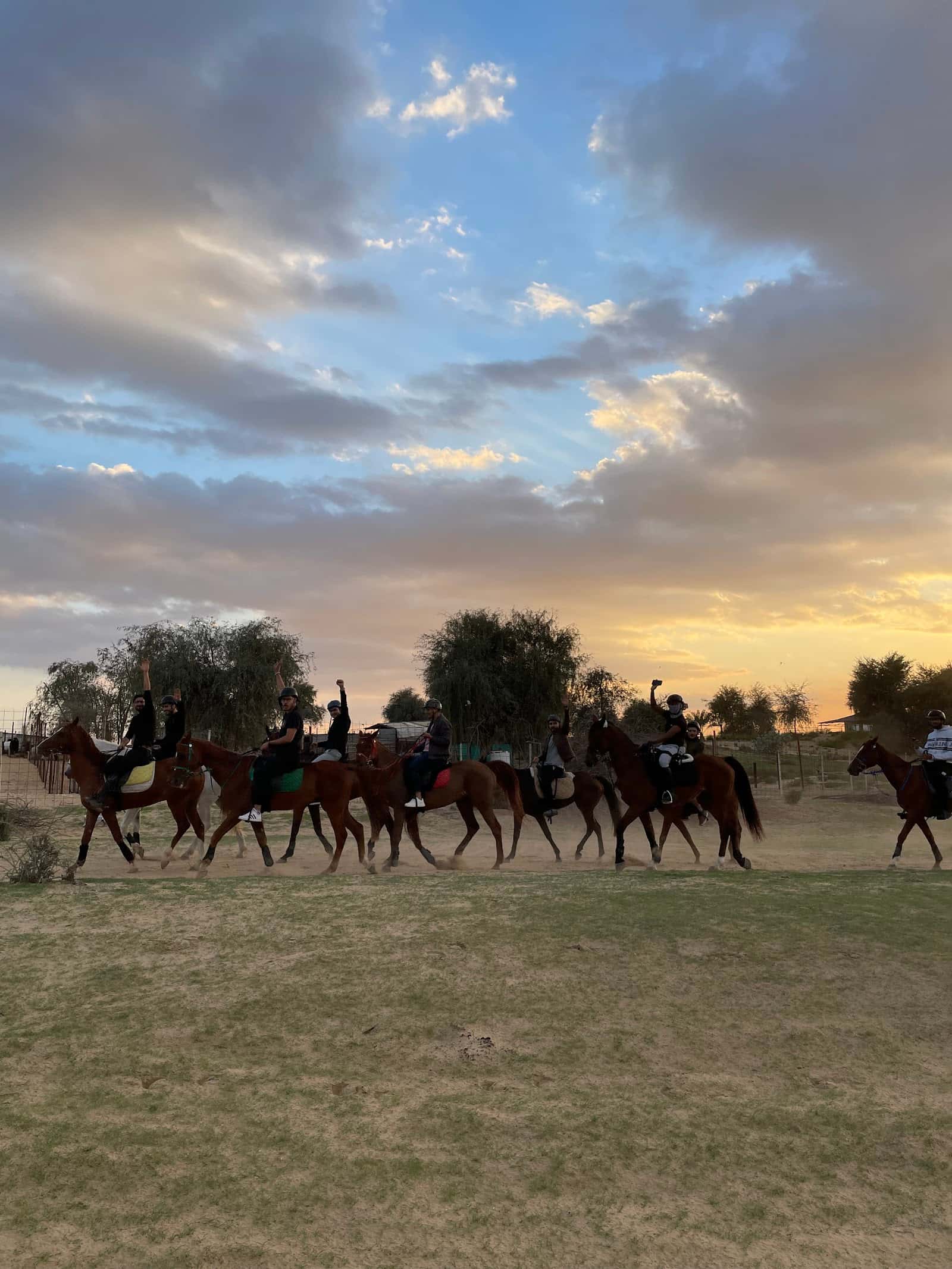 The Saddle Equestrian Club