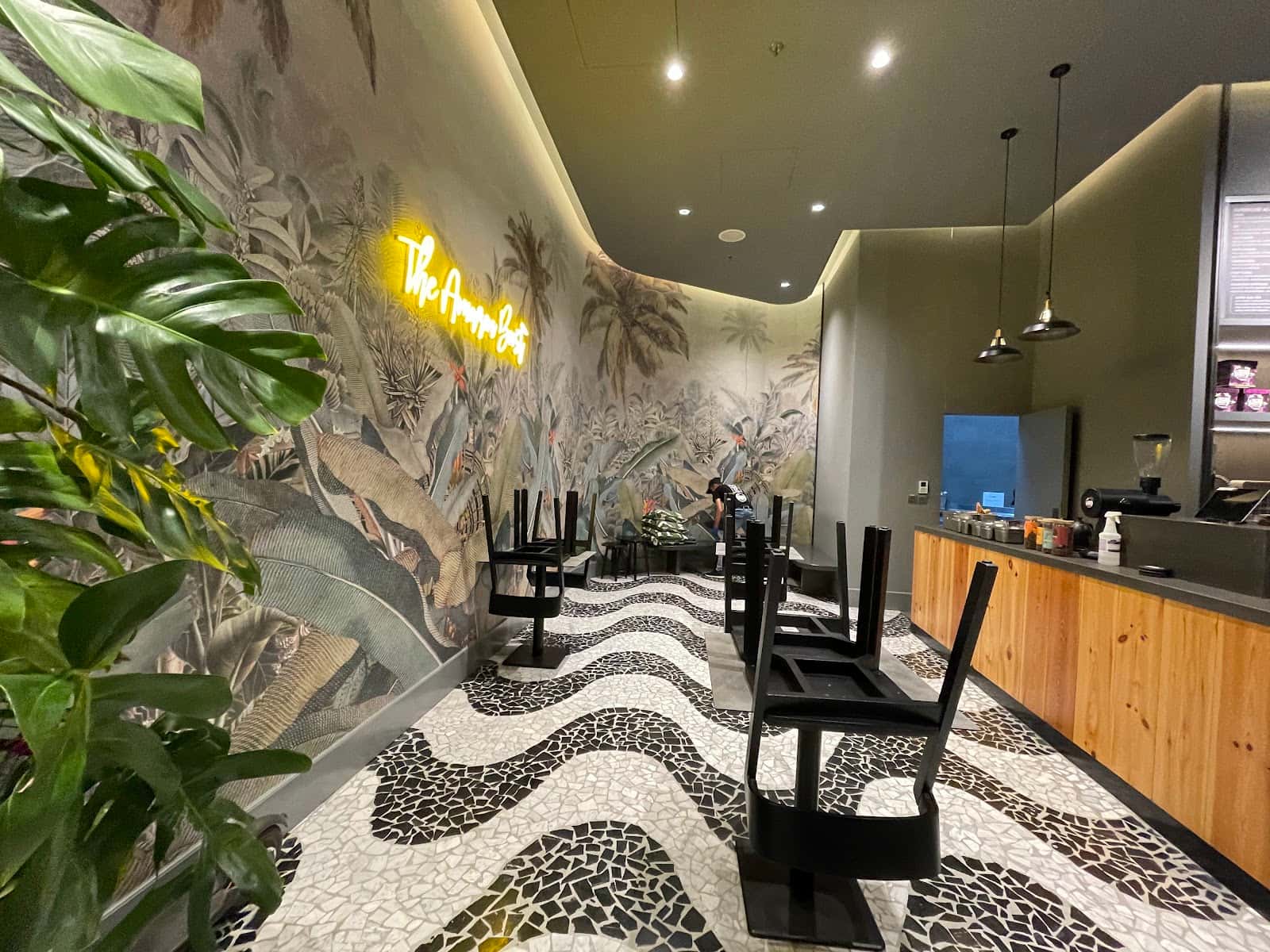 Acai Berry The Amazon Boost