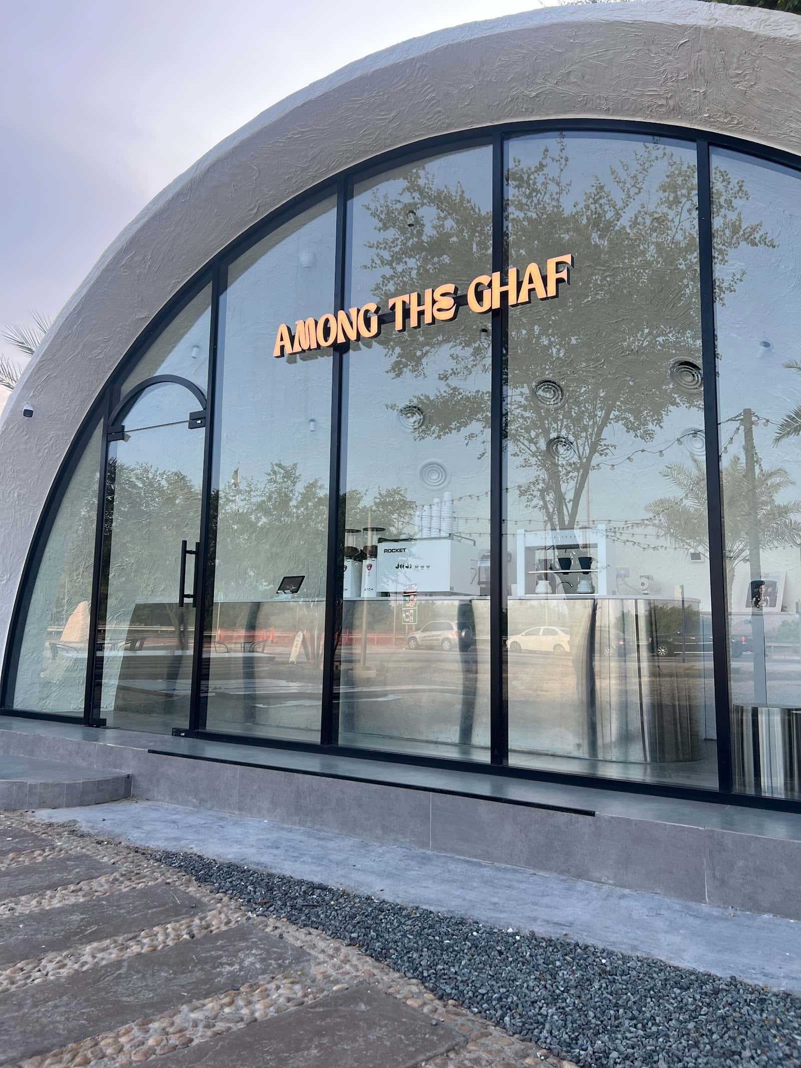 Among the ghaf