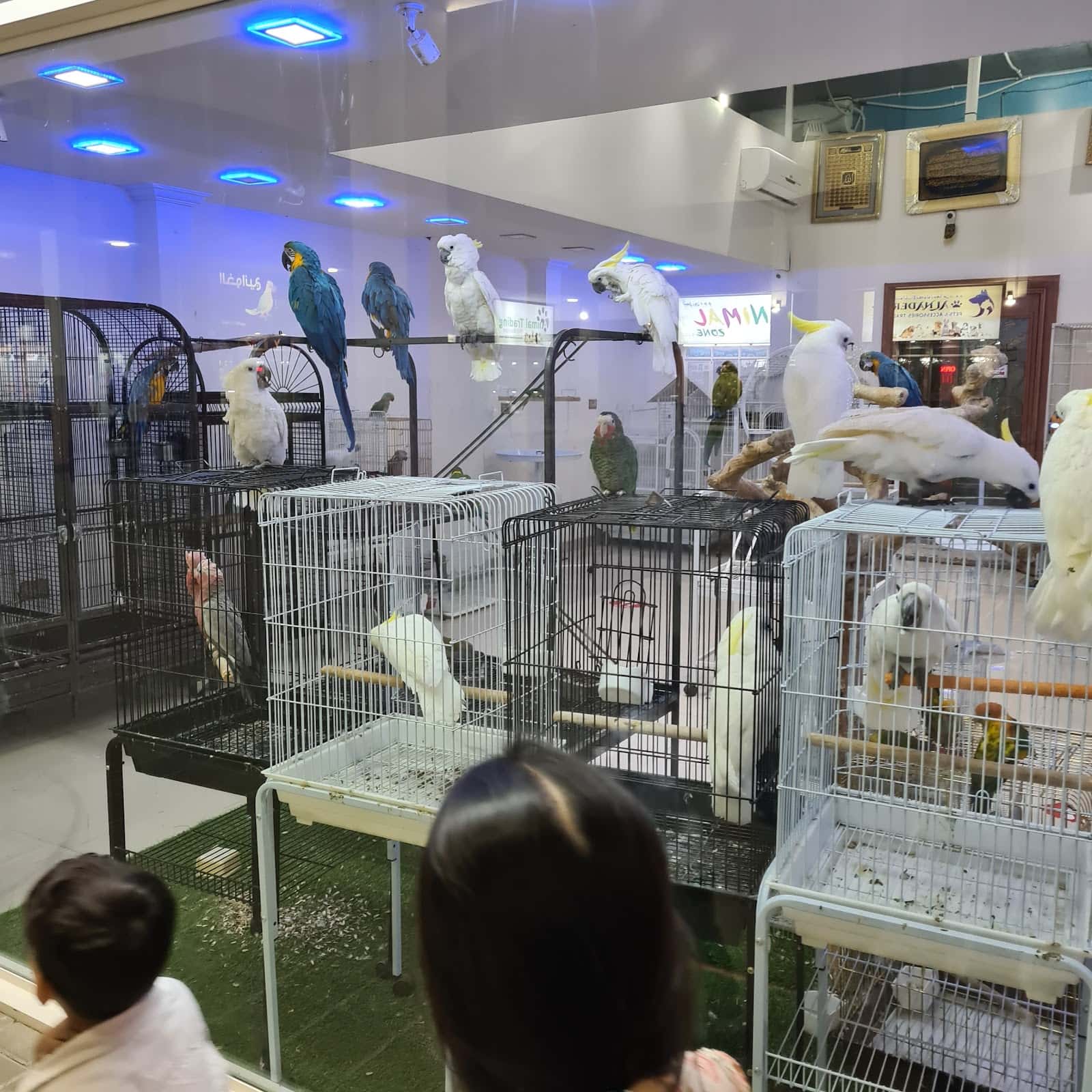 Garden Green Palace Restaurant