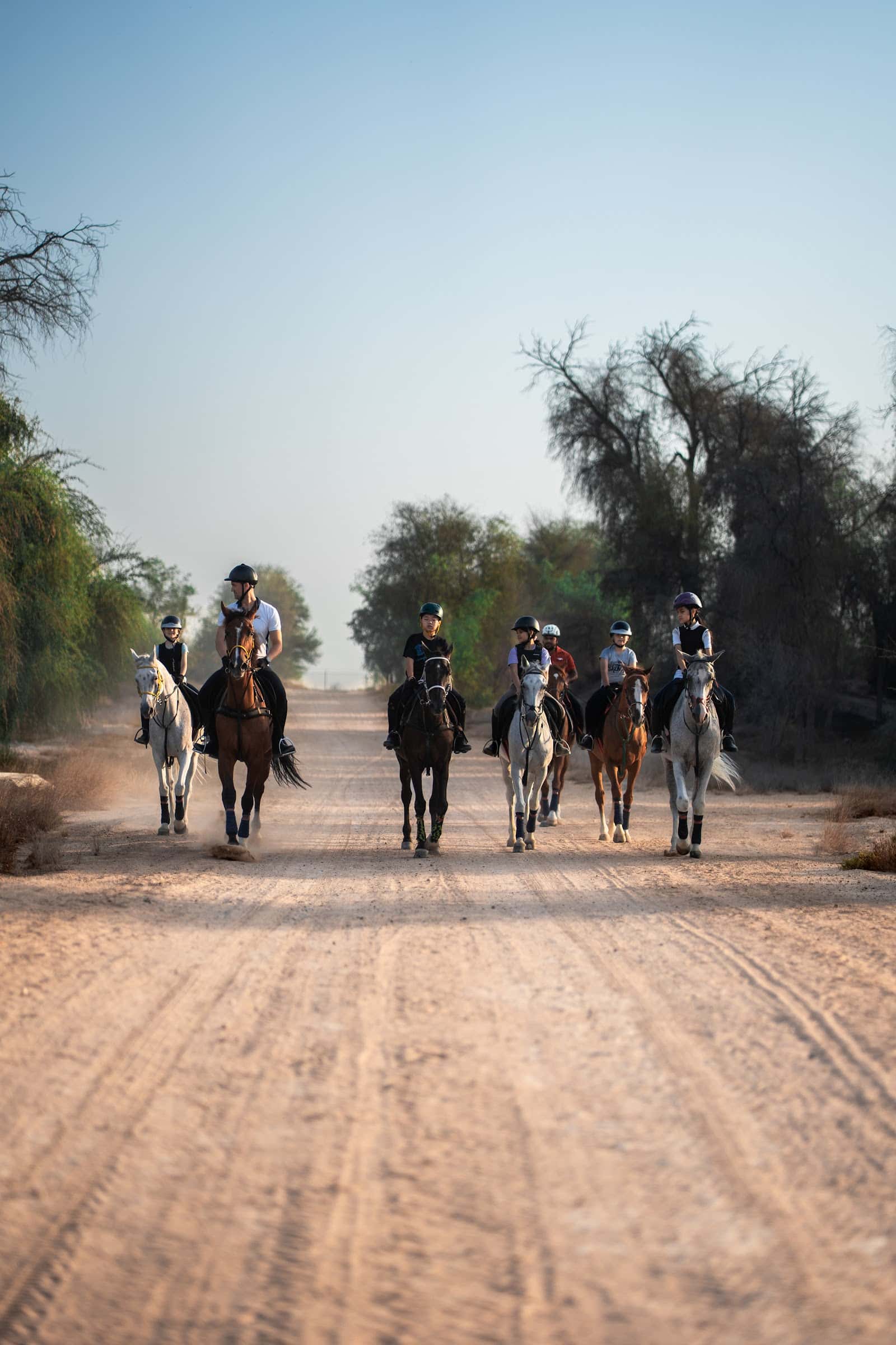 Winners Equestrian Club