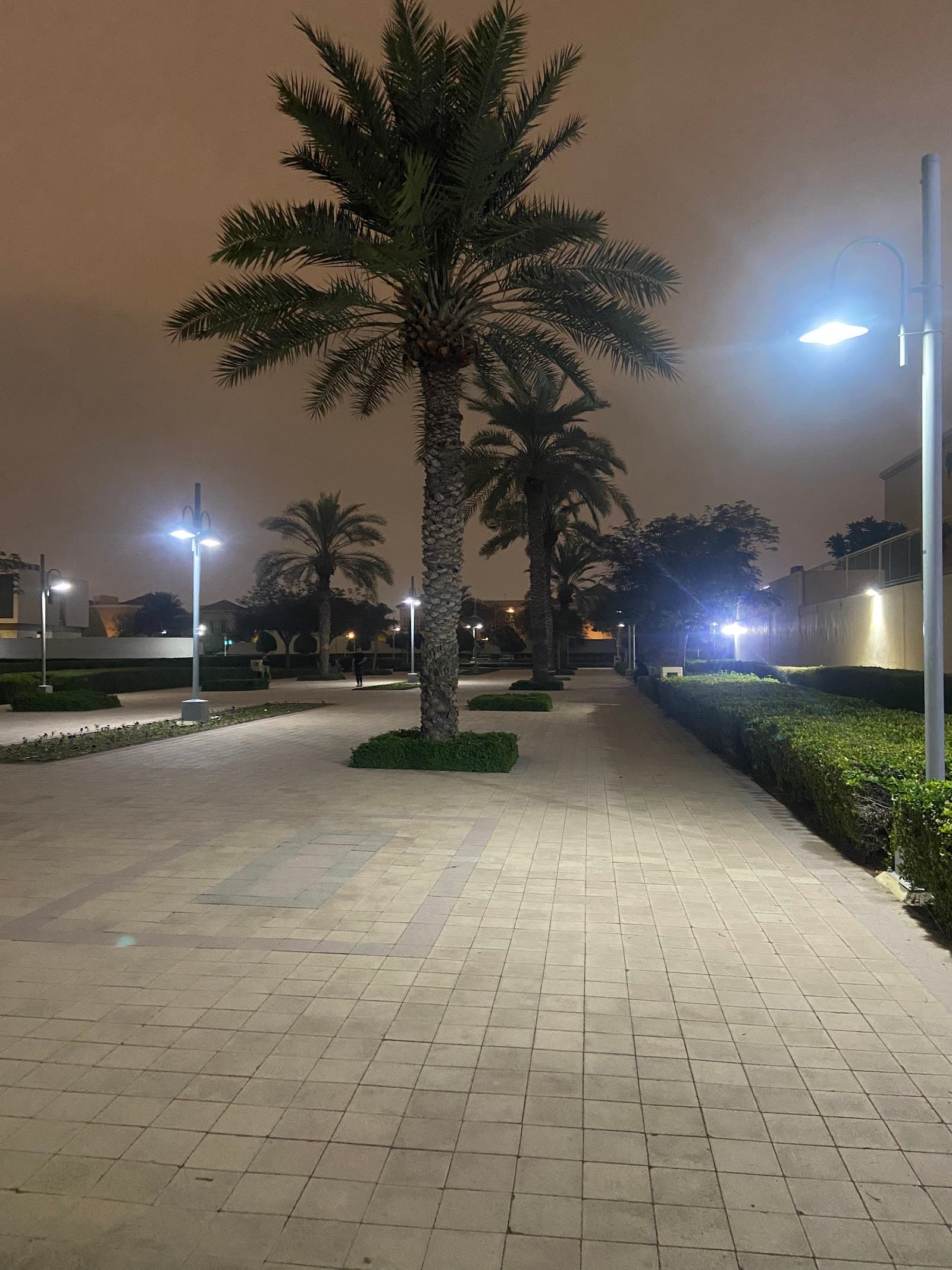 حديقة البرشاء الأولى - Image 1