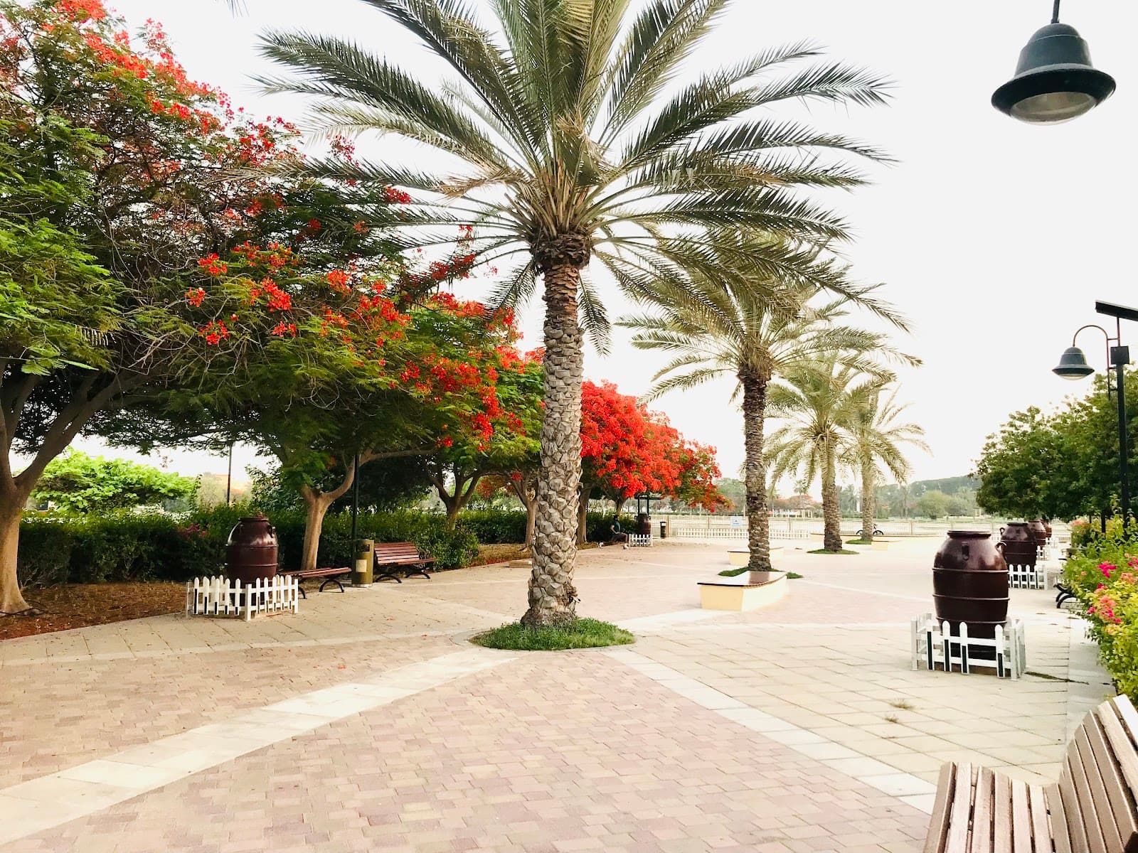 Al-Buhaira Park - Image 1