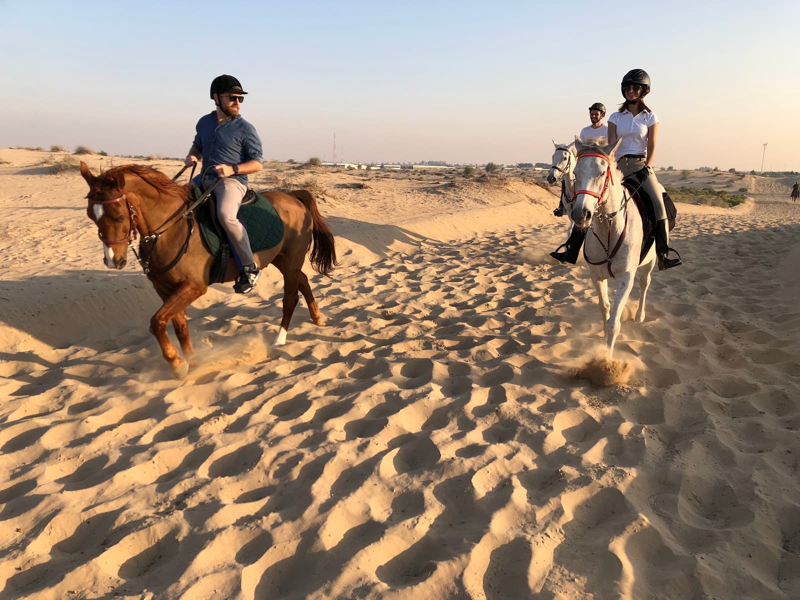 Al Jiyad Stables - Image 1