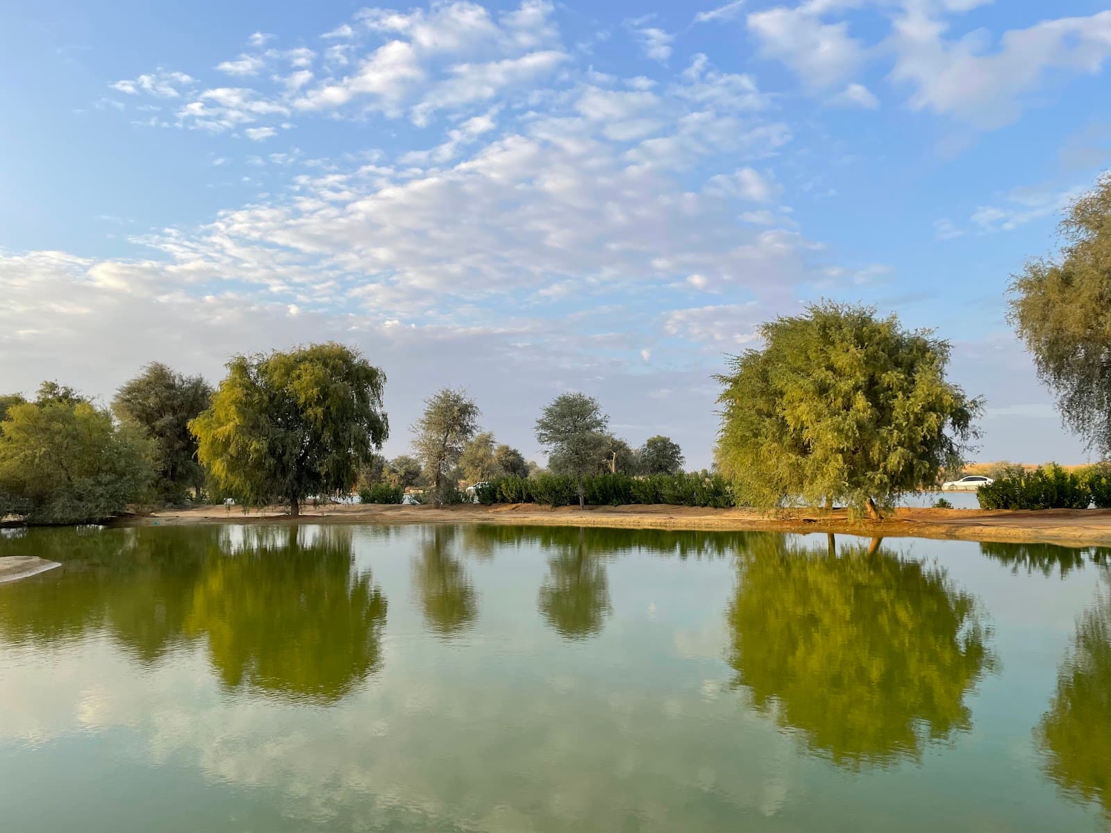 Al Qudra Lake Oasis - Image 1