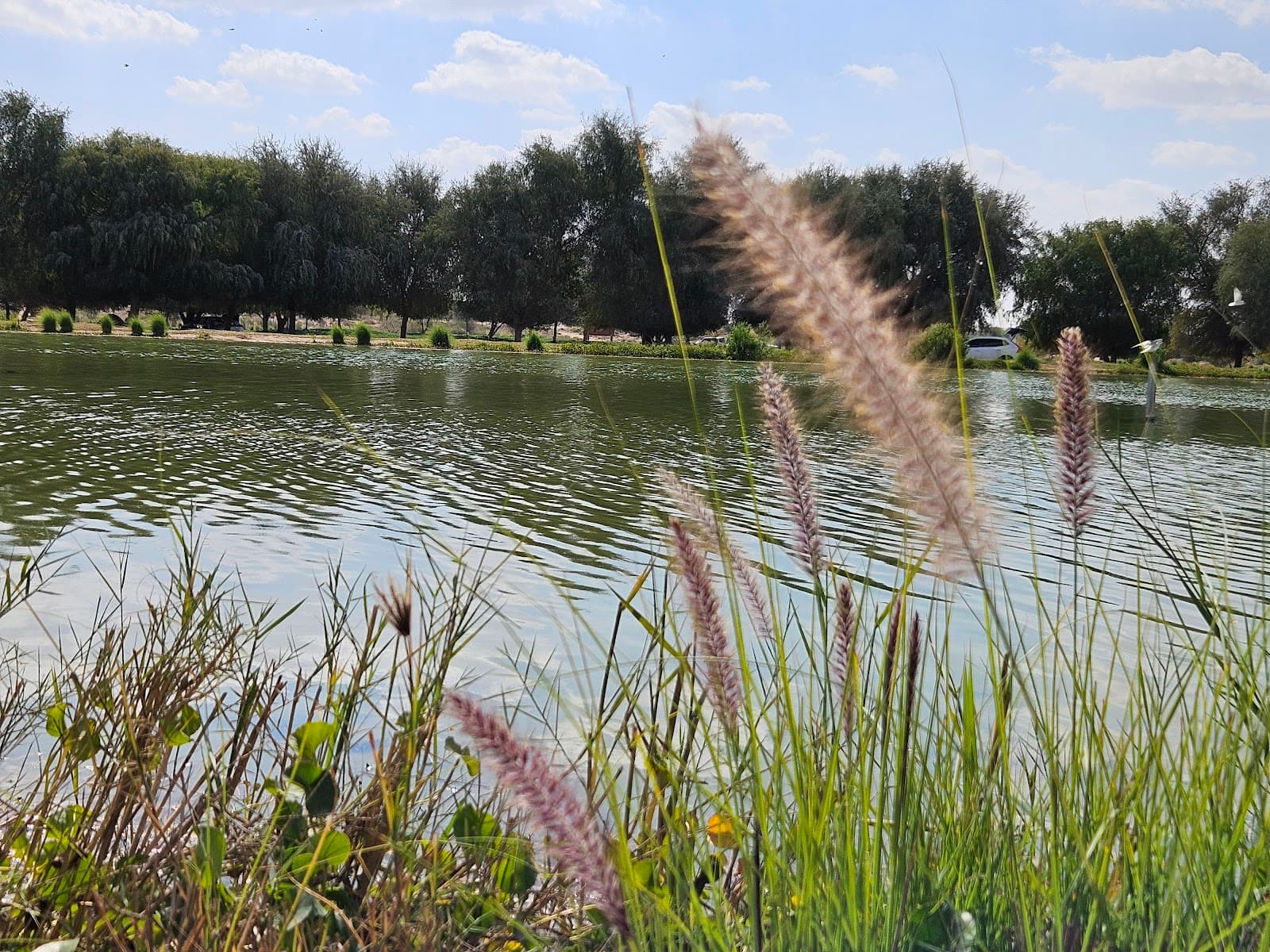 Al Qudrah Lake - Image 1