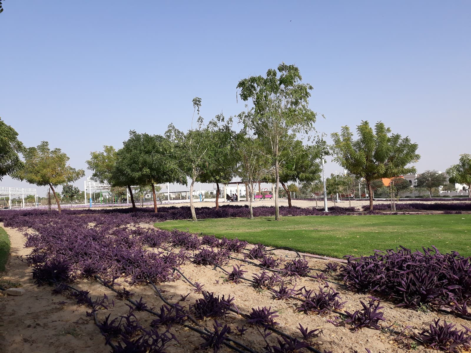 Al Warqa 3 Park - Image 1