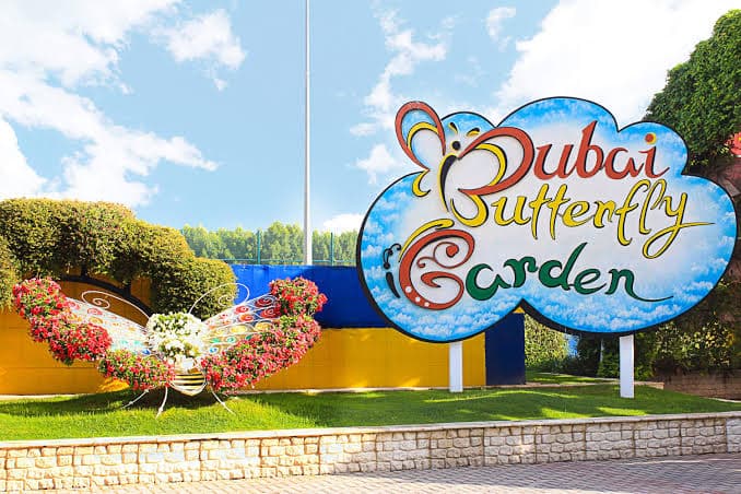 Dubai Butterfly Garden - Image 1