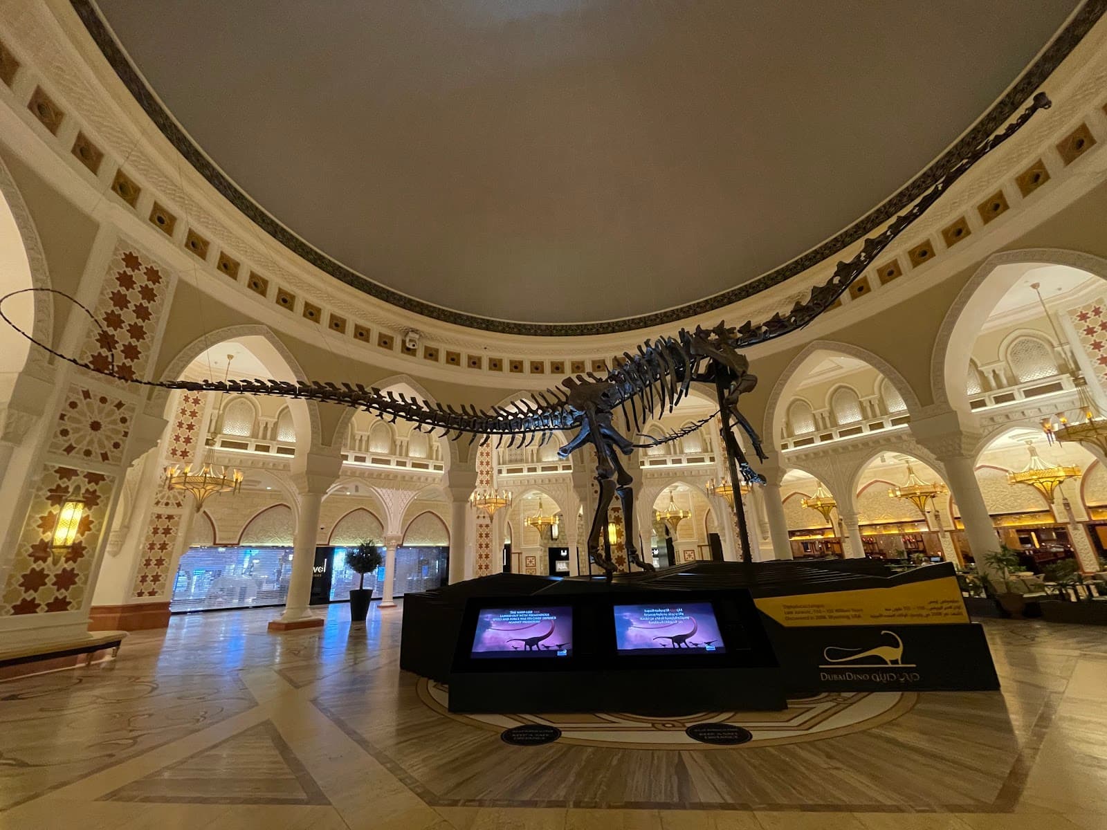 Dubai Dino - Image 1