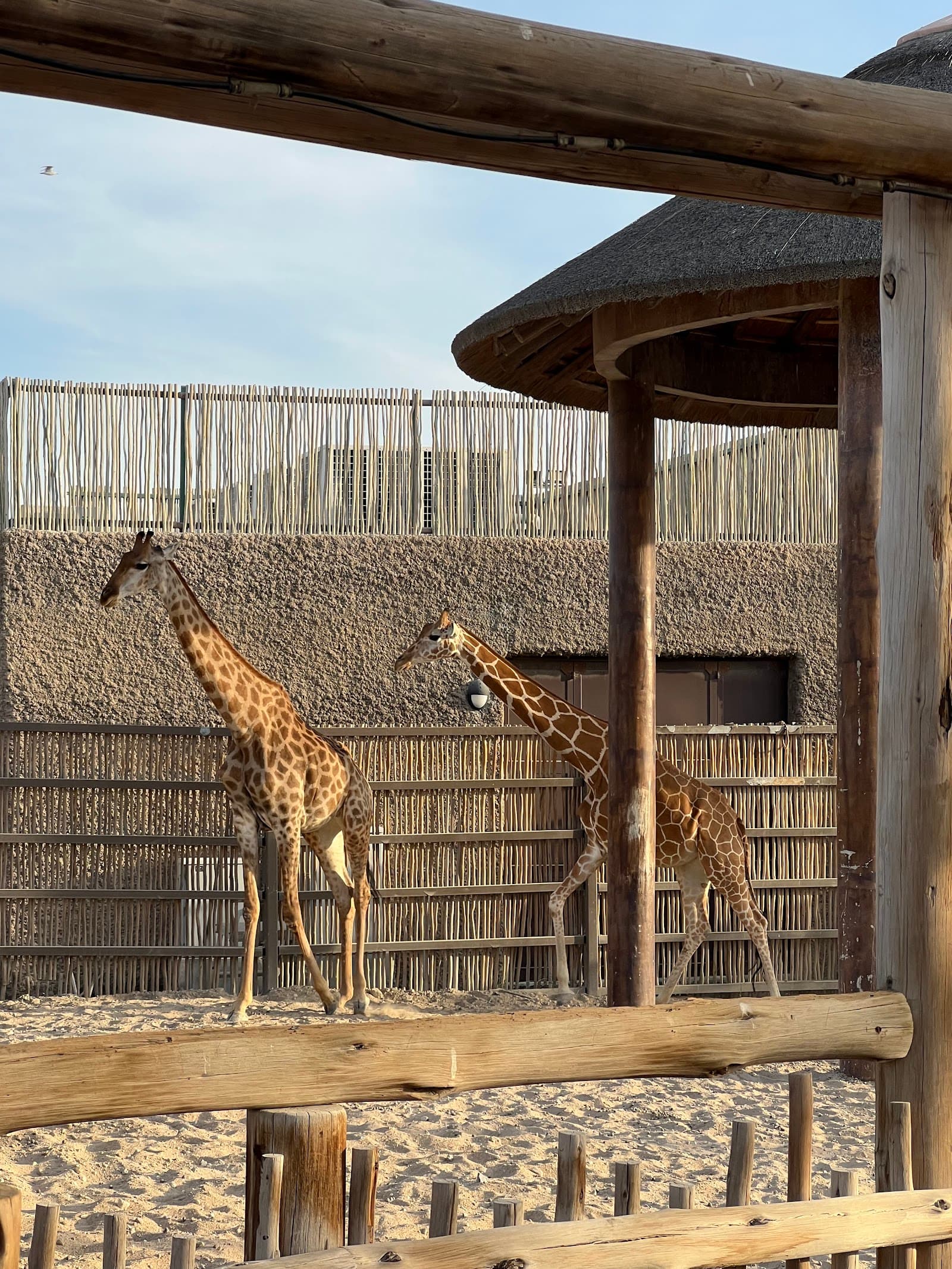 Explorer Village - Image 1