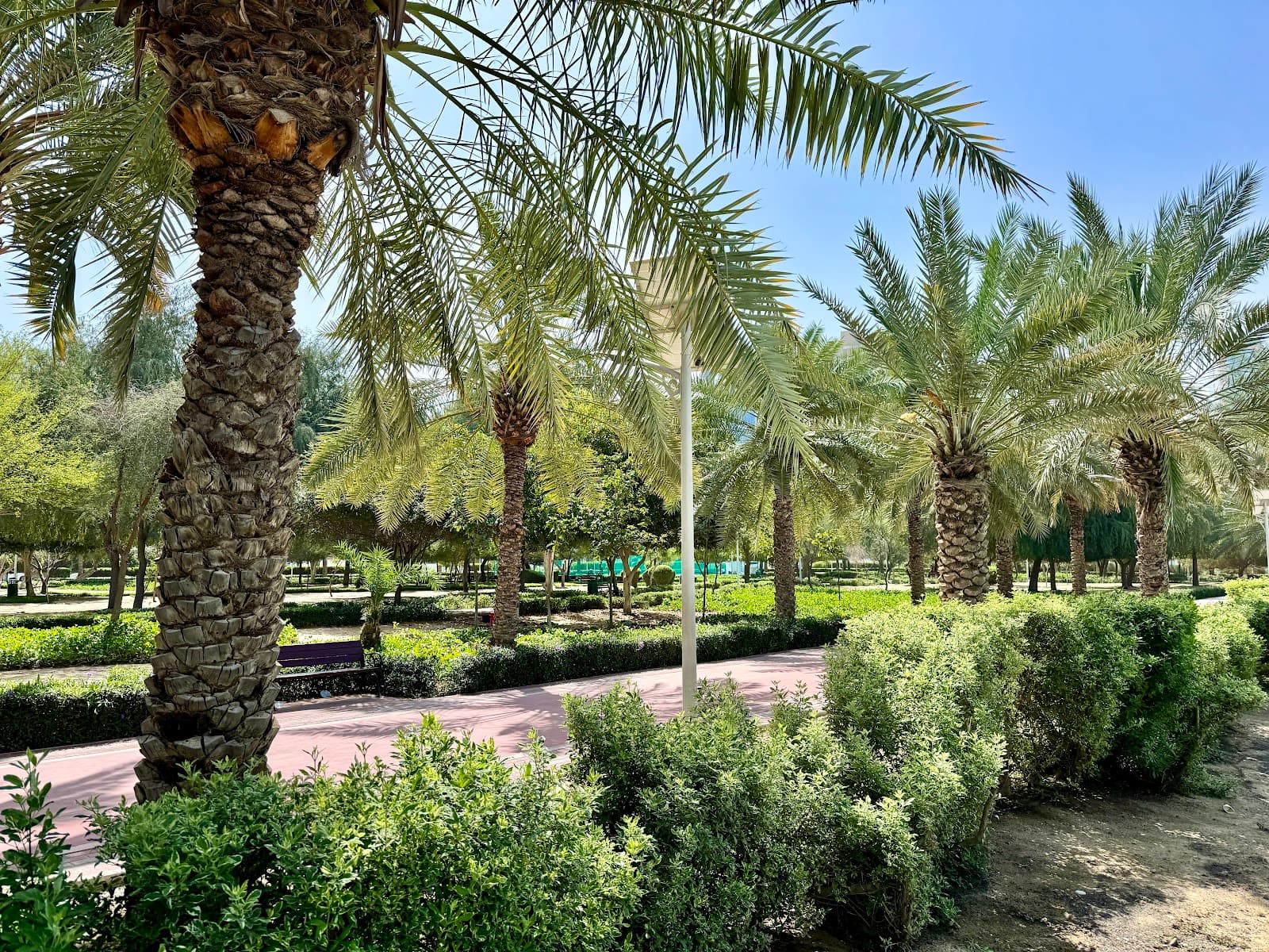 Gadaf Park - JVC - Image 1