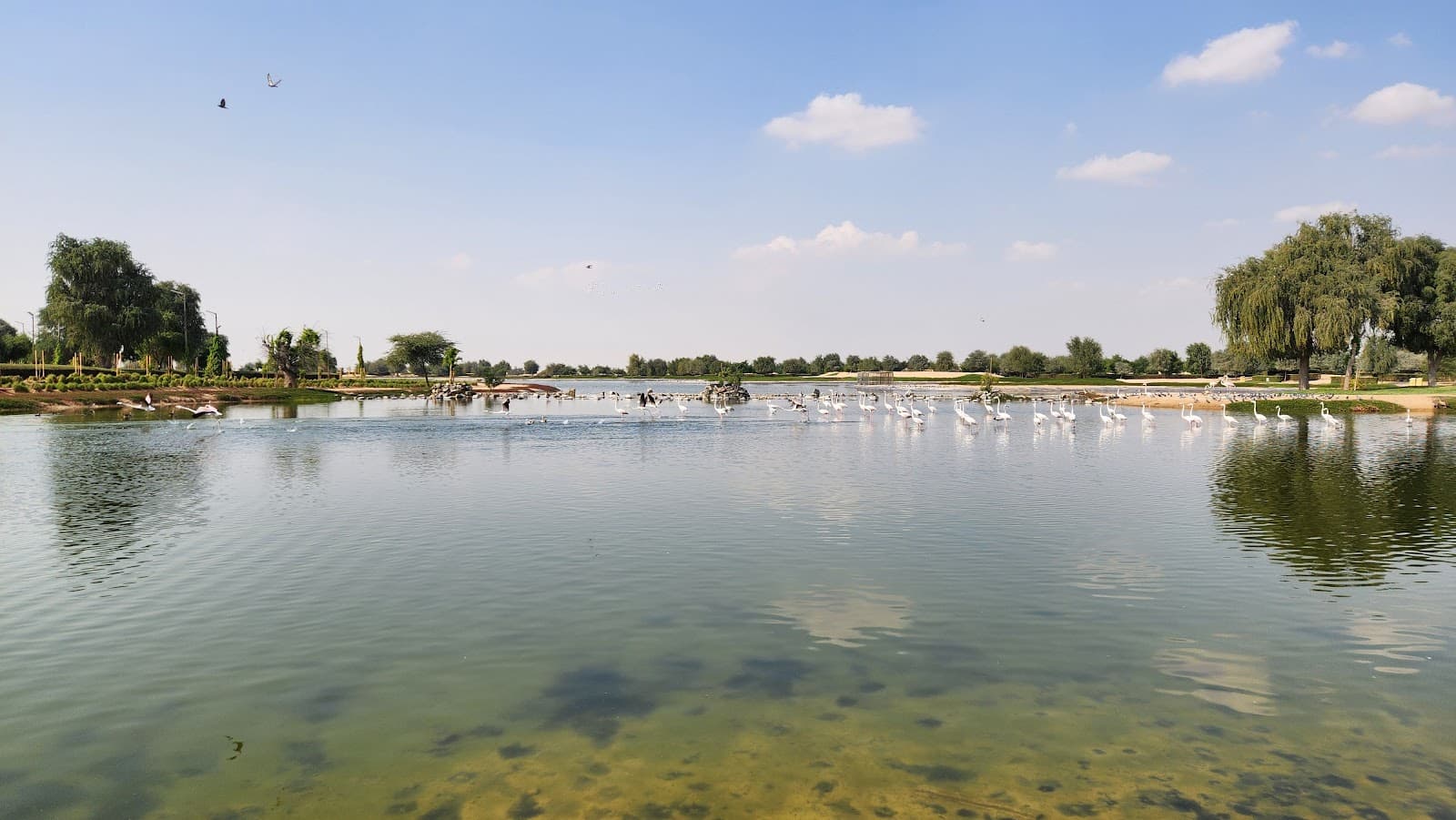 Parking 1 . Expo lake - Image 1