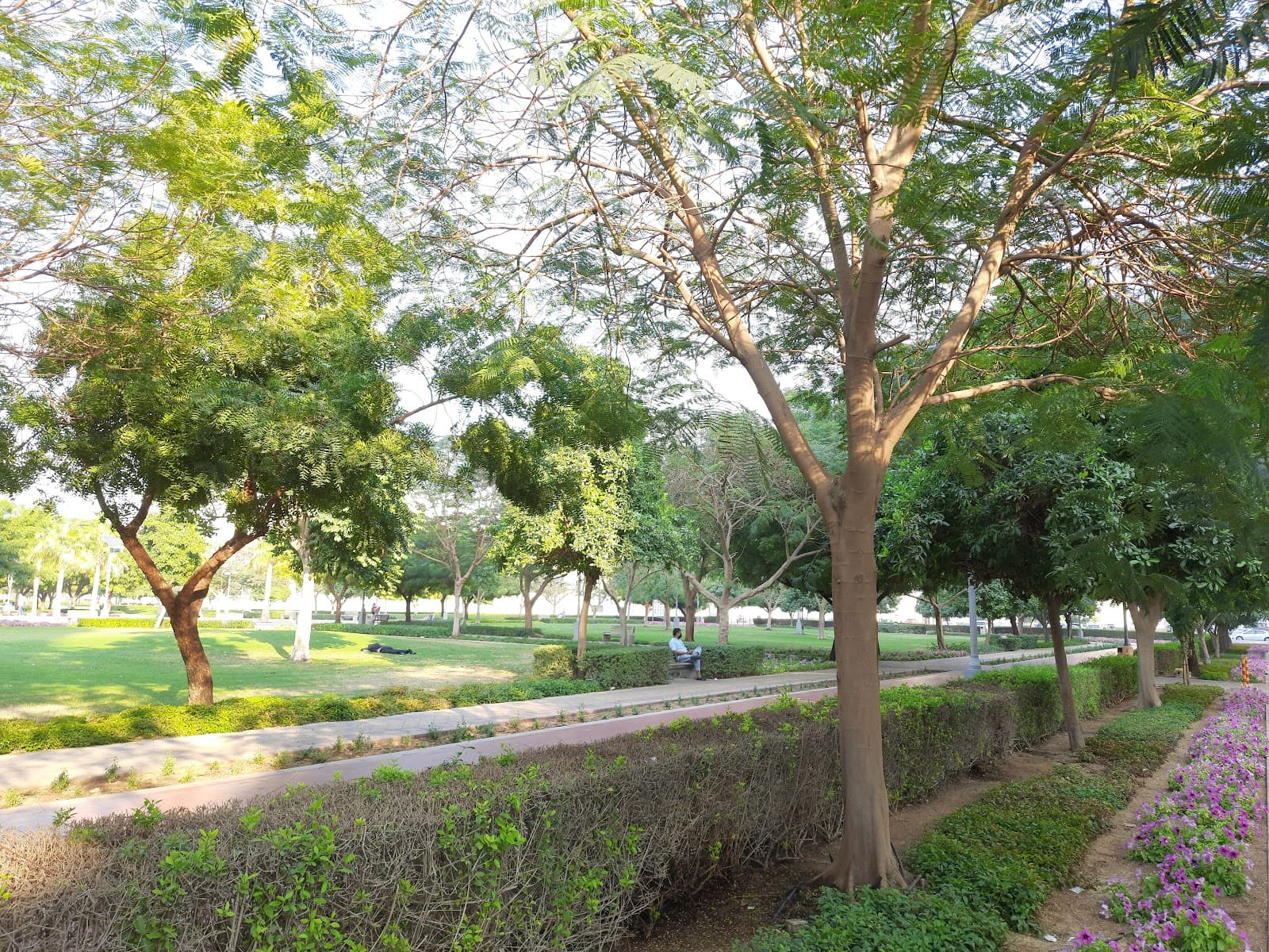 Port Saeed Park - Image 1