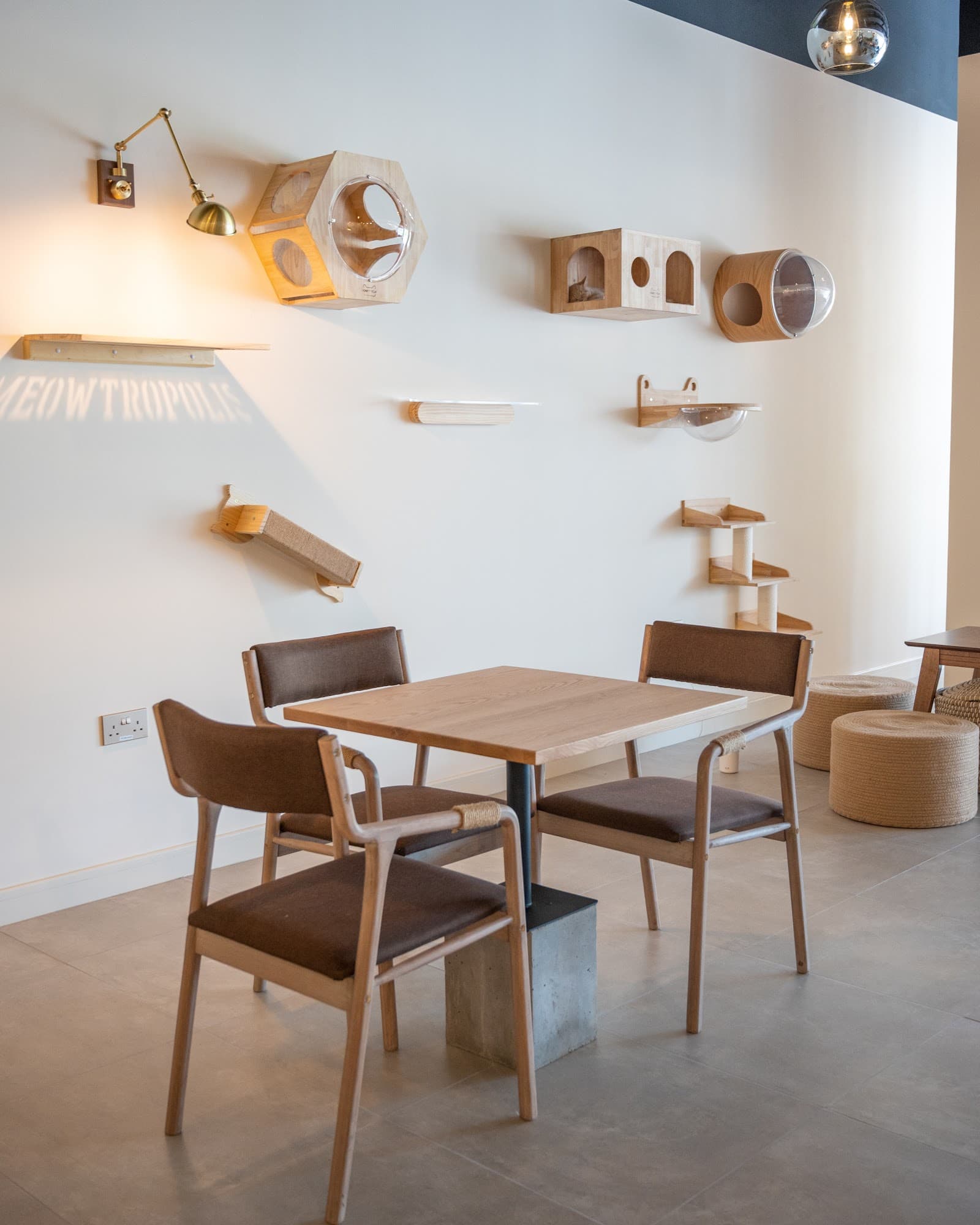 Meowtropolis Cat Cafe - Image 1