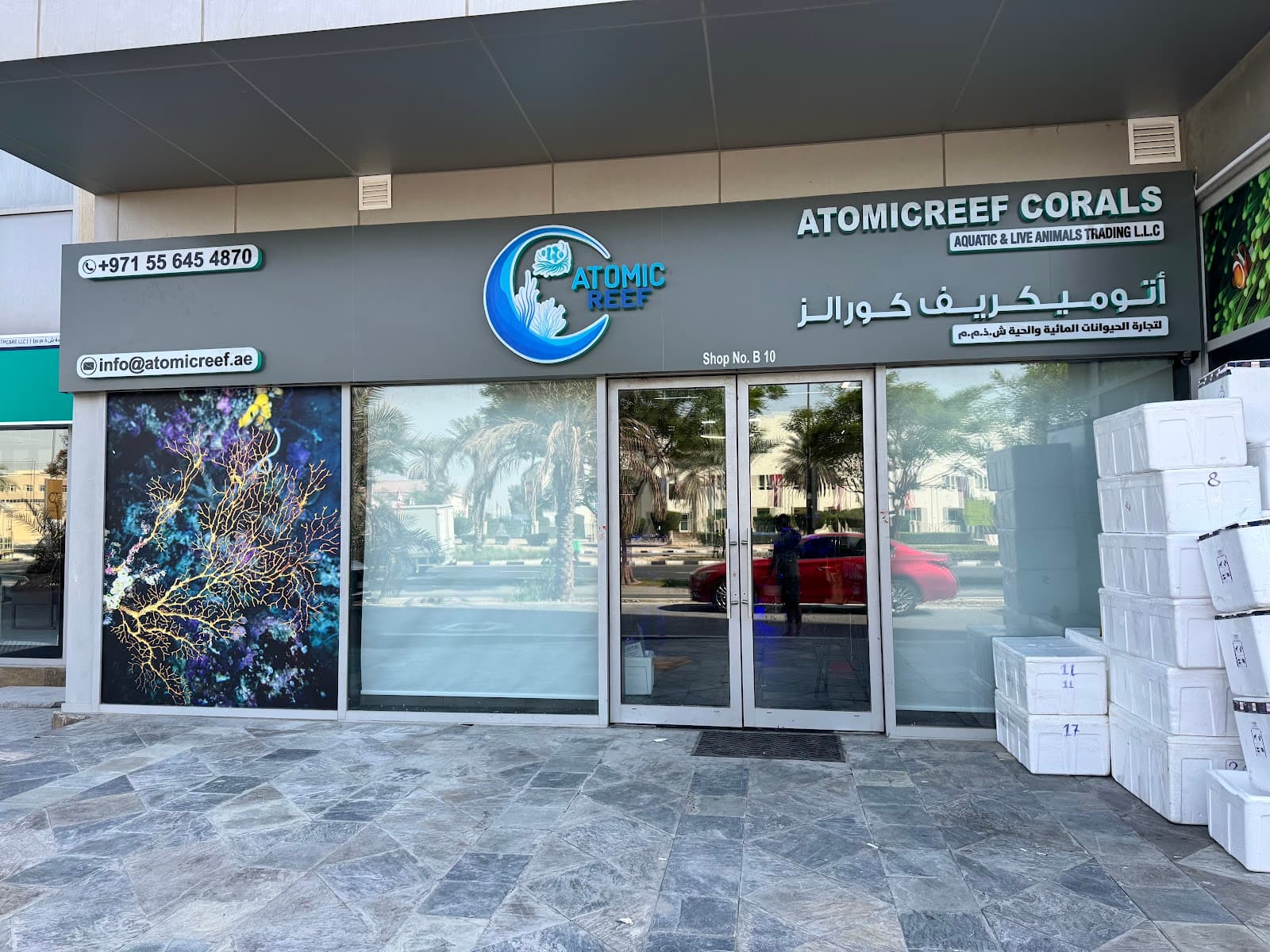 Atomicreef Corals - Image 1