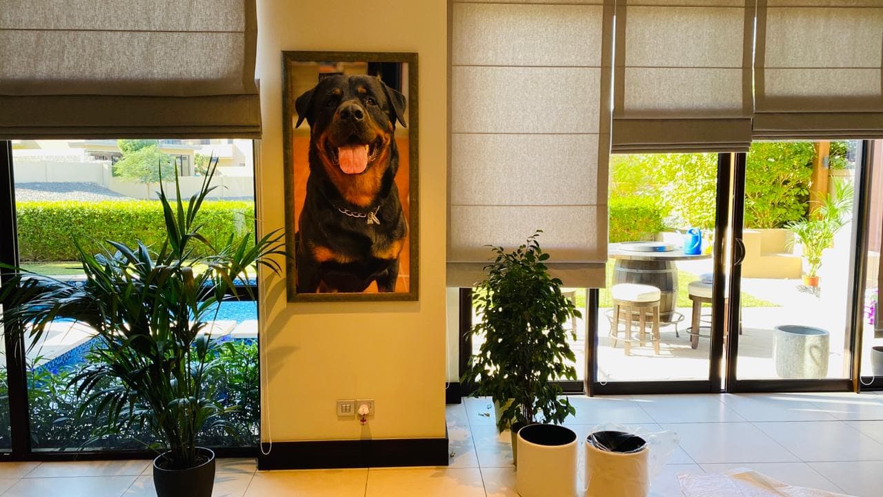 Pickframes -Framed With Passion - Image 1