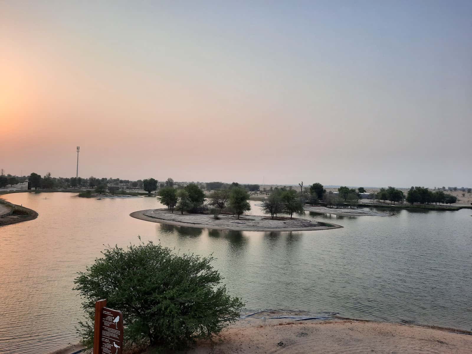 Al Marmoom Conservation Reserve