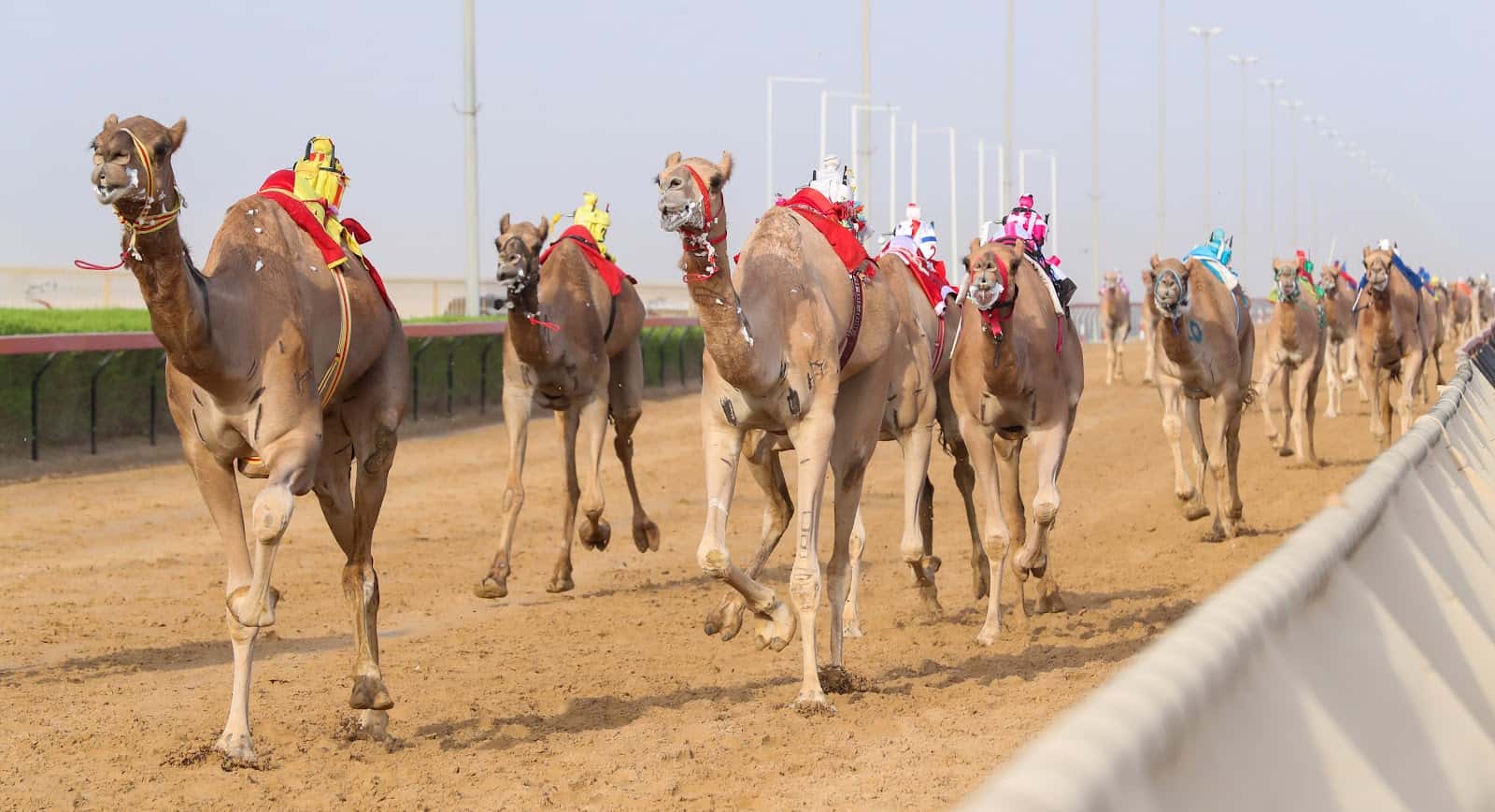 Al Marmoom Heritage Village
