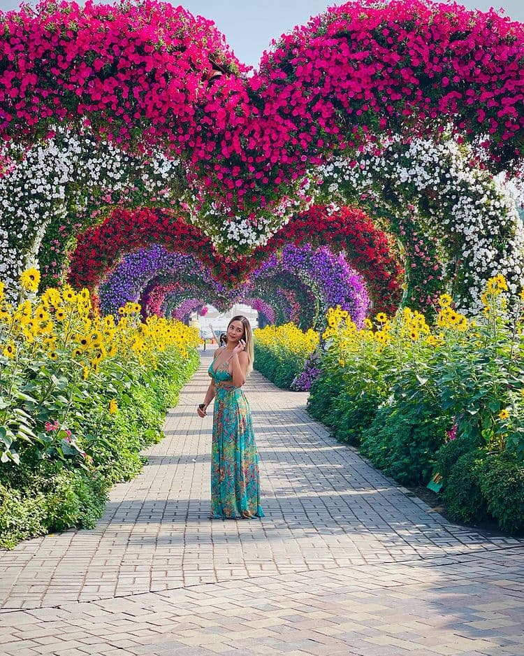 Dubai Miracle Garden - Image 1