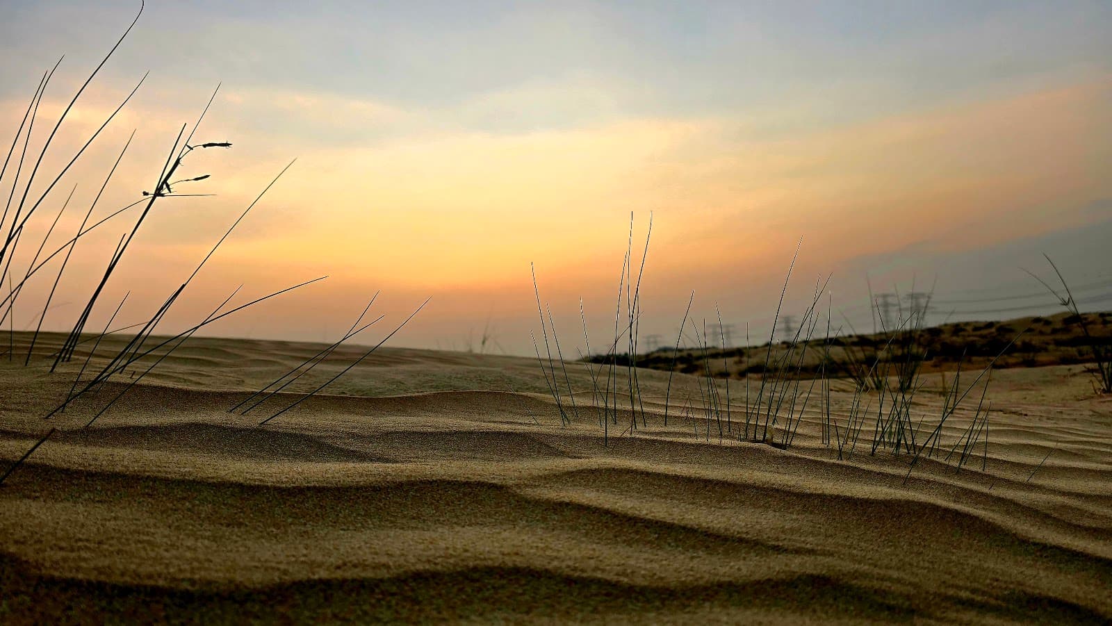 Half Desert - Image 1