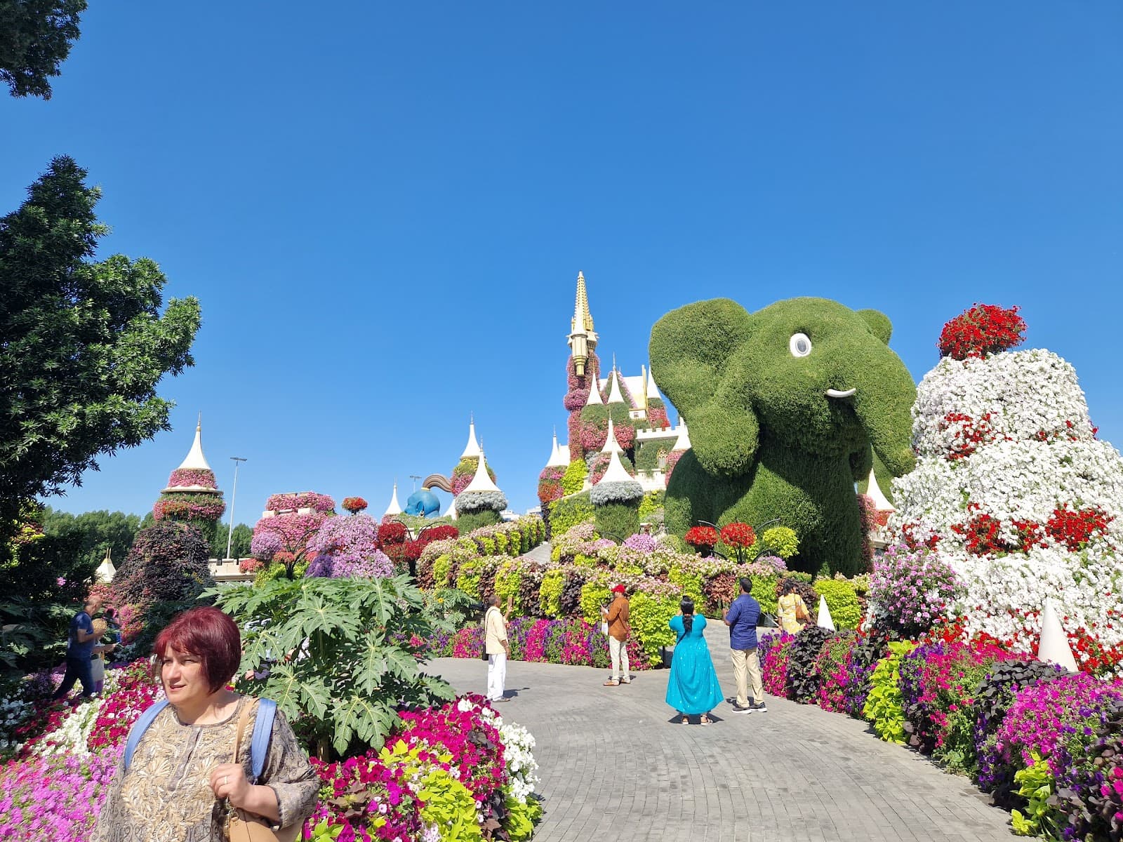 Miracle Garden Airplane Flowers - Image 1