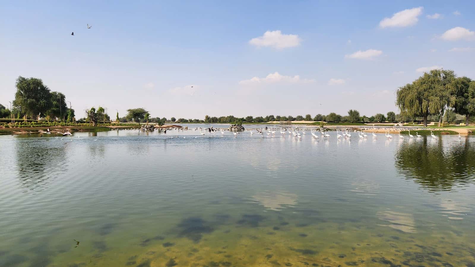 Parking 1 . Expo lake