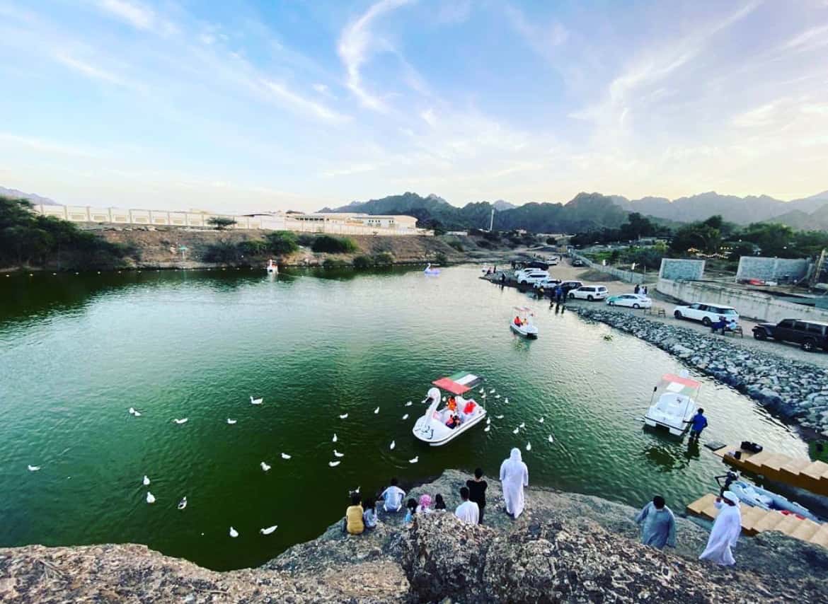 Wadi Hatta - Swan Lake