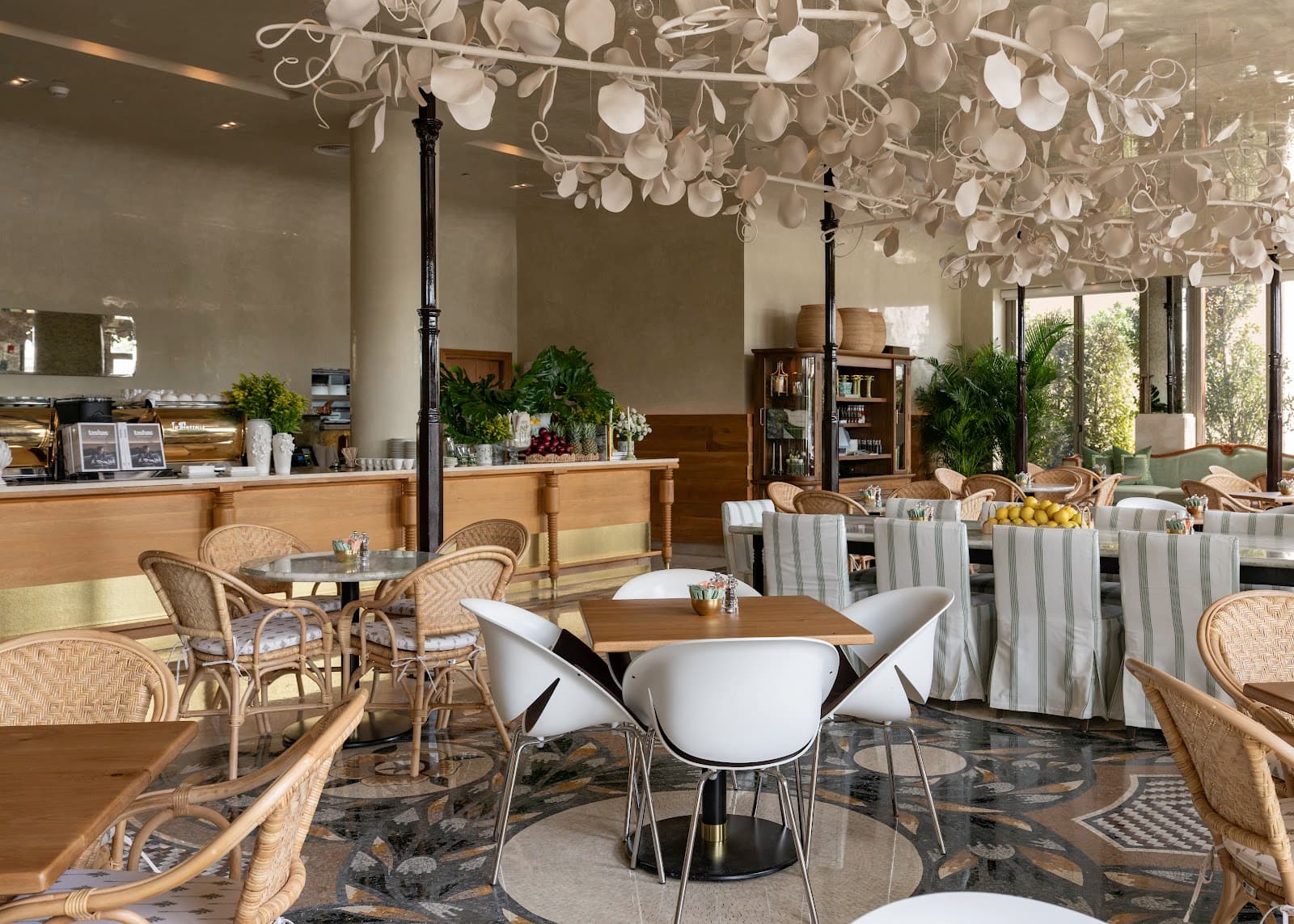 tashas Jumeirah - Image 1