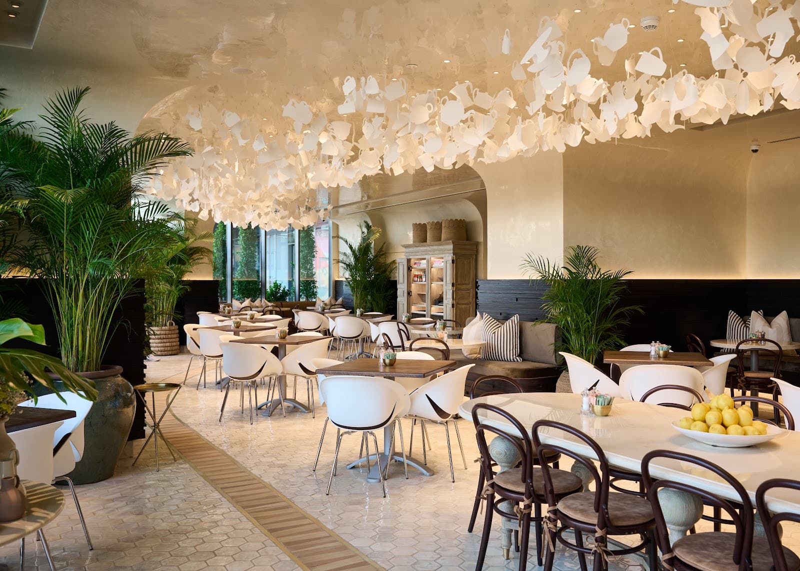 tashas Mirdif - Image 1