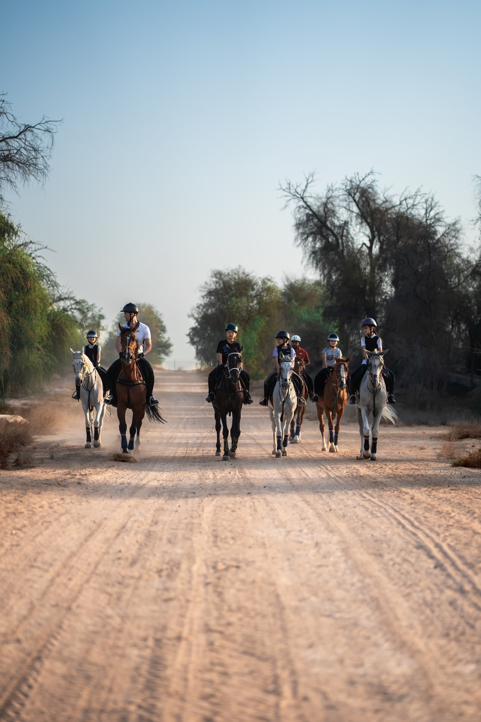 Winners Equestrian Club - Image 1